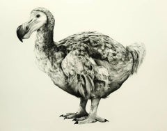 Rowlands Dodo (Version II) von TAMMY MACKAY, Tierkunst, zeitgenössische Drucke