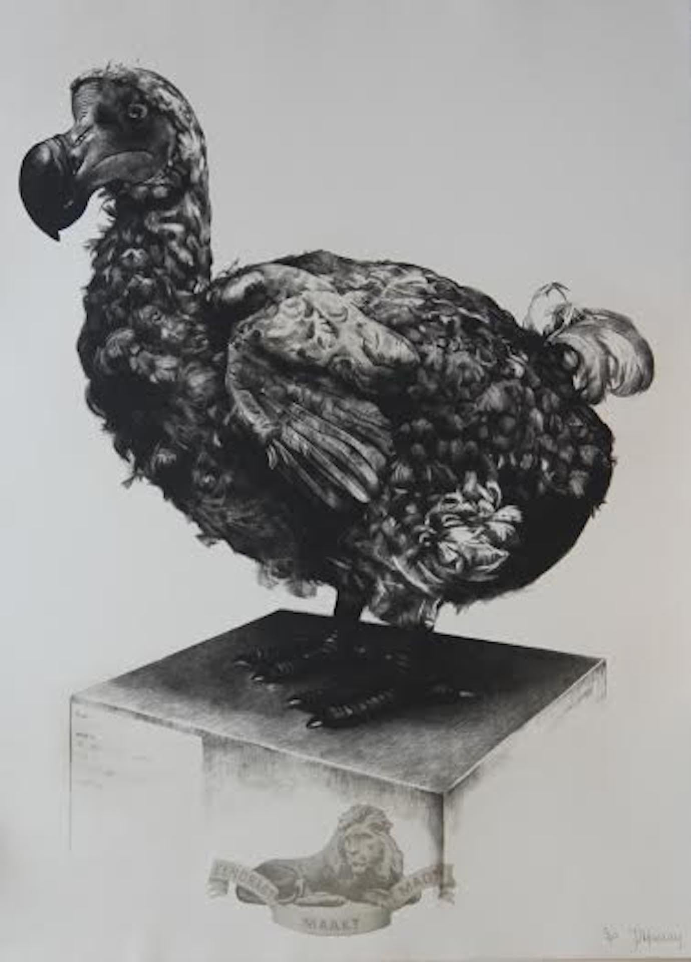 Tammy Mackay, verschwunden, Dodo-Kunst, zeitgenössischer Druck, erschwingliche Kunst, monochrome Kunst im Angebot 1