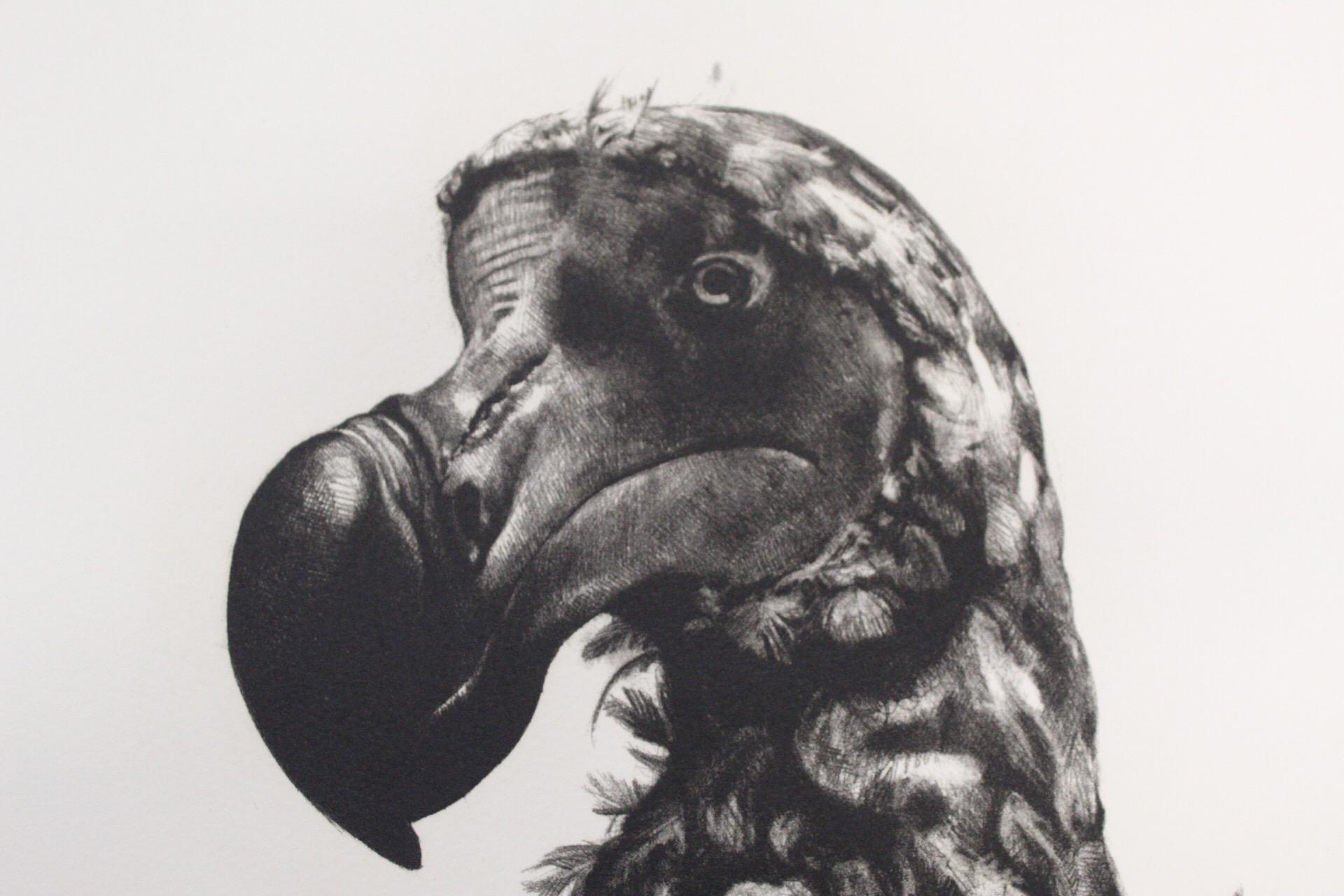 Tammy Mackay, verschwunden, Dodo-Kunst, zeitgenössischer Druck, erschwingliche Kunst, monochrome Kunst im Angebot 4
