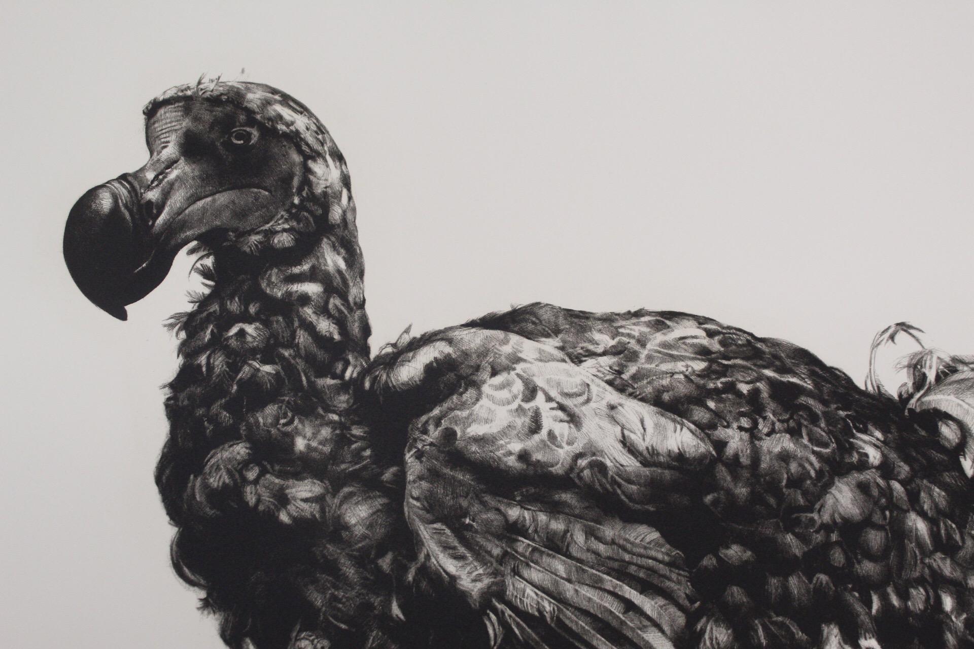 Tammy Mackay, verschwunden, Dodo-Kunst, zeitgenössischer Druck, erschwingliche Kunst, monochrome Kunst im Angebot 6