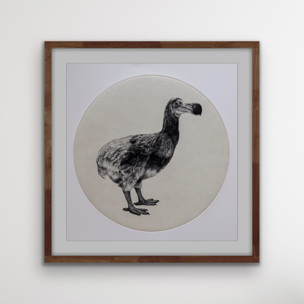 The Dutch Dodo, Black and White Animal Print, Contemporary Art, Species Art - Gray Still-Life Painting by Tammy Mackay