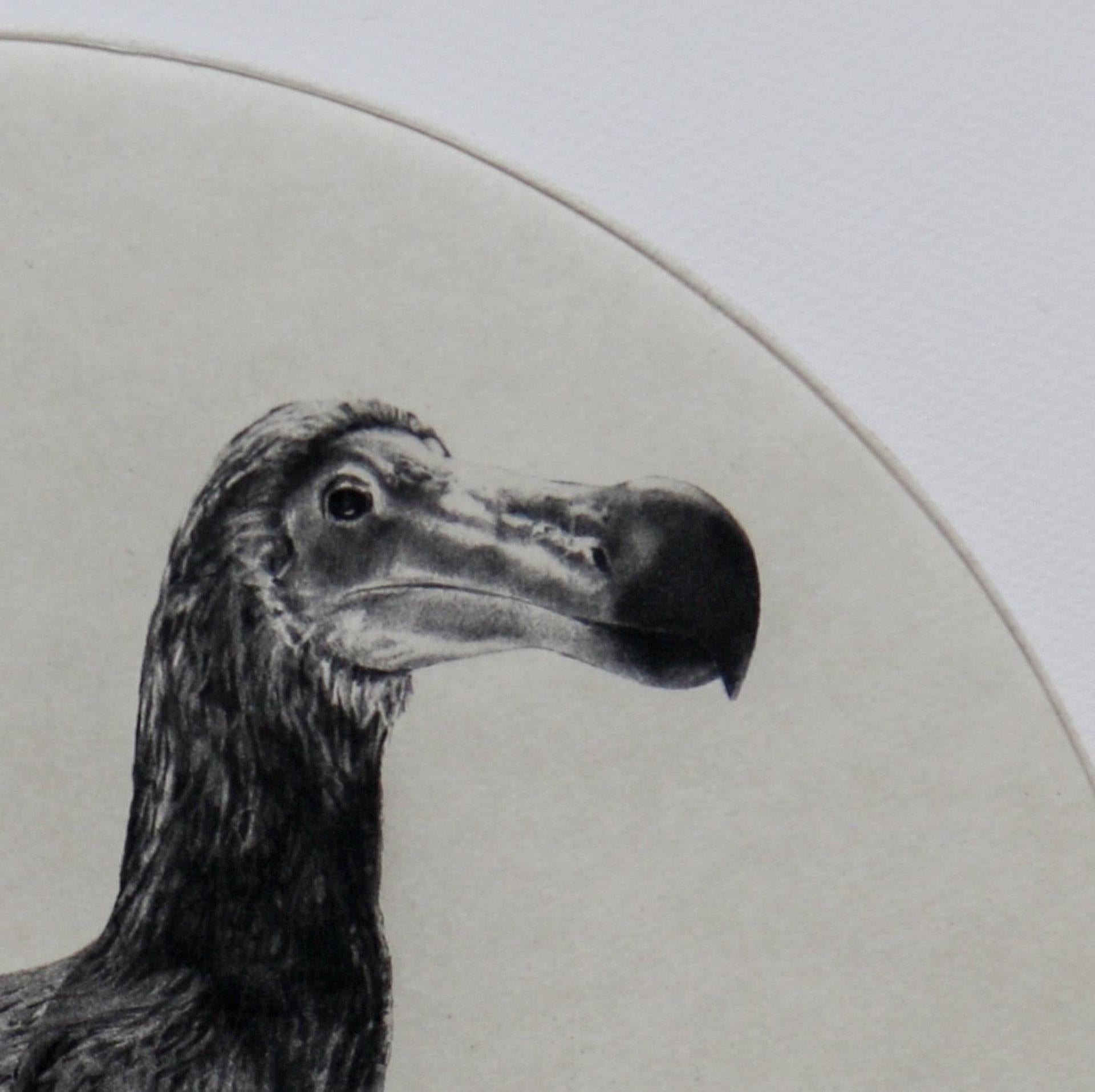 The Dutch Dodo, Black and White Animal Print, Contemporary Art, Species Art For Sale 2