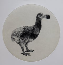 Le Dodo hollandais, estampe d'animaux en noir et blanc, Art contemporain, Spécifications d'art