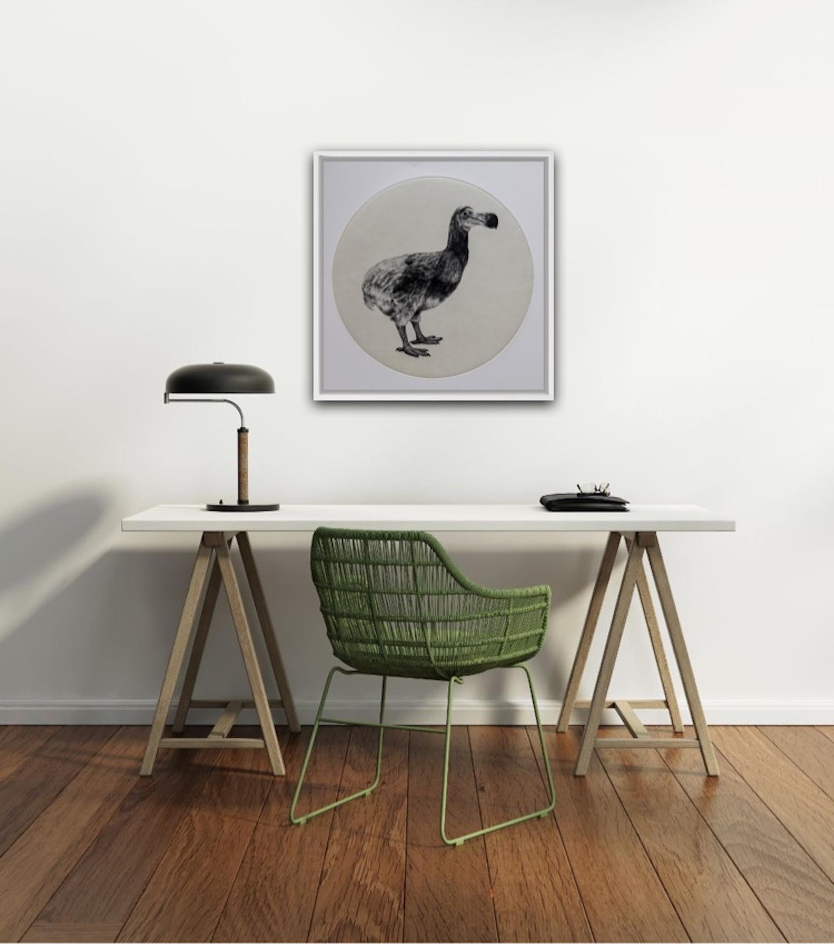The Dutch Dodo, Tammy Mackay, Limited Edition Animal Print, Contemporary Art 2