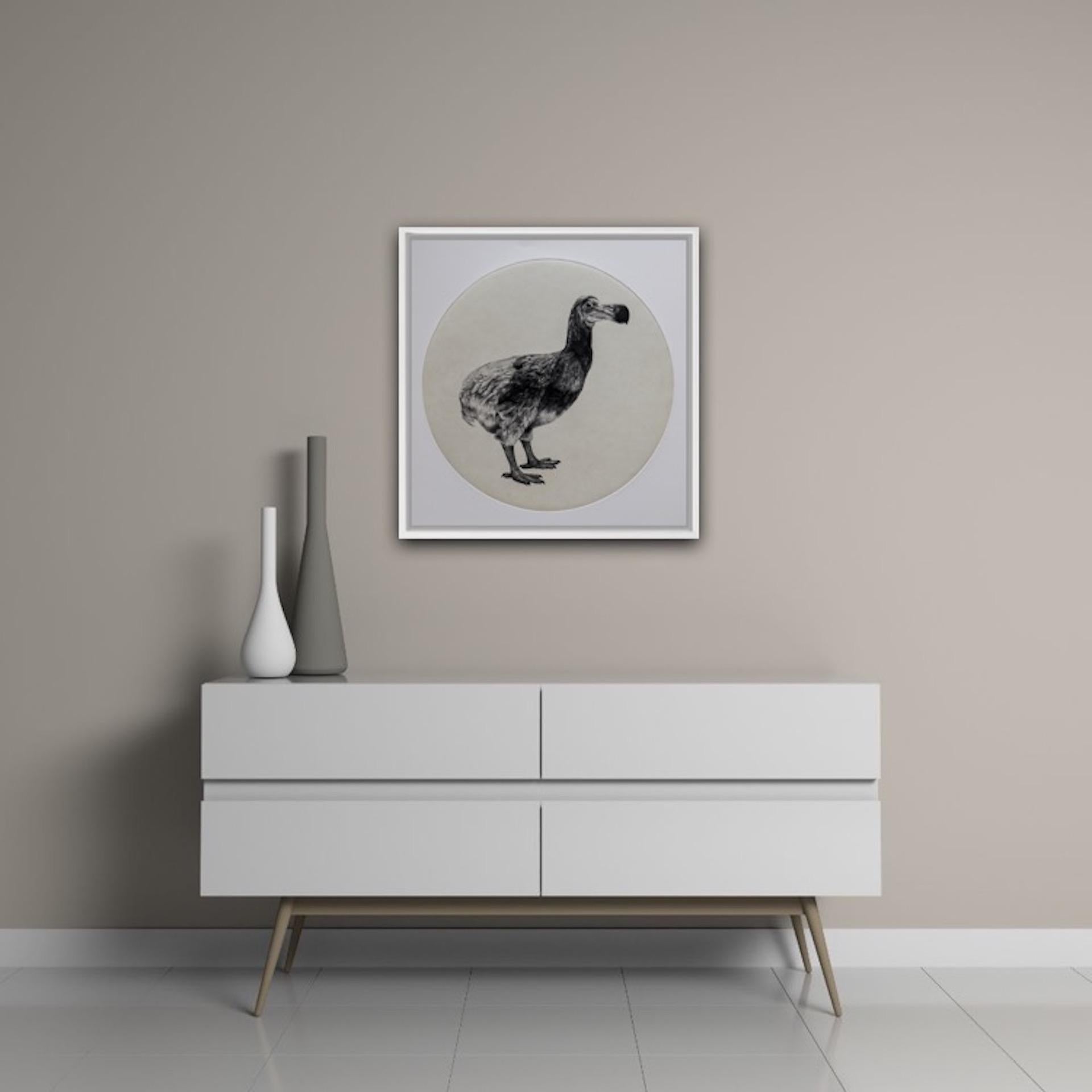 The Dutch Dodo, Tammy Mackay, Limited Edition Animal Print, Contemporary Art 3