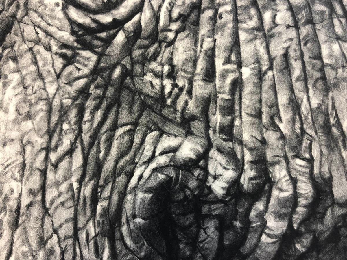 Untitled (Elephant) - Realist Art by Tammy Mackay