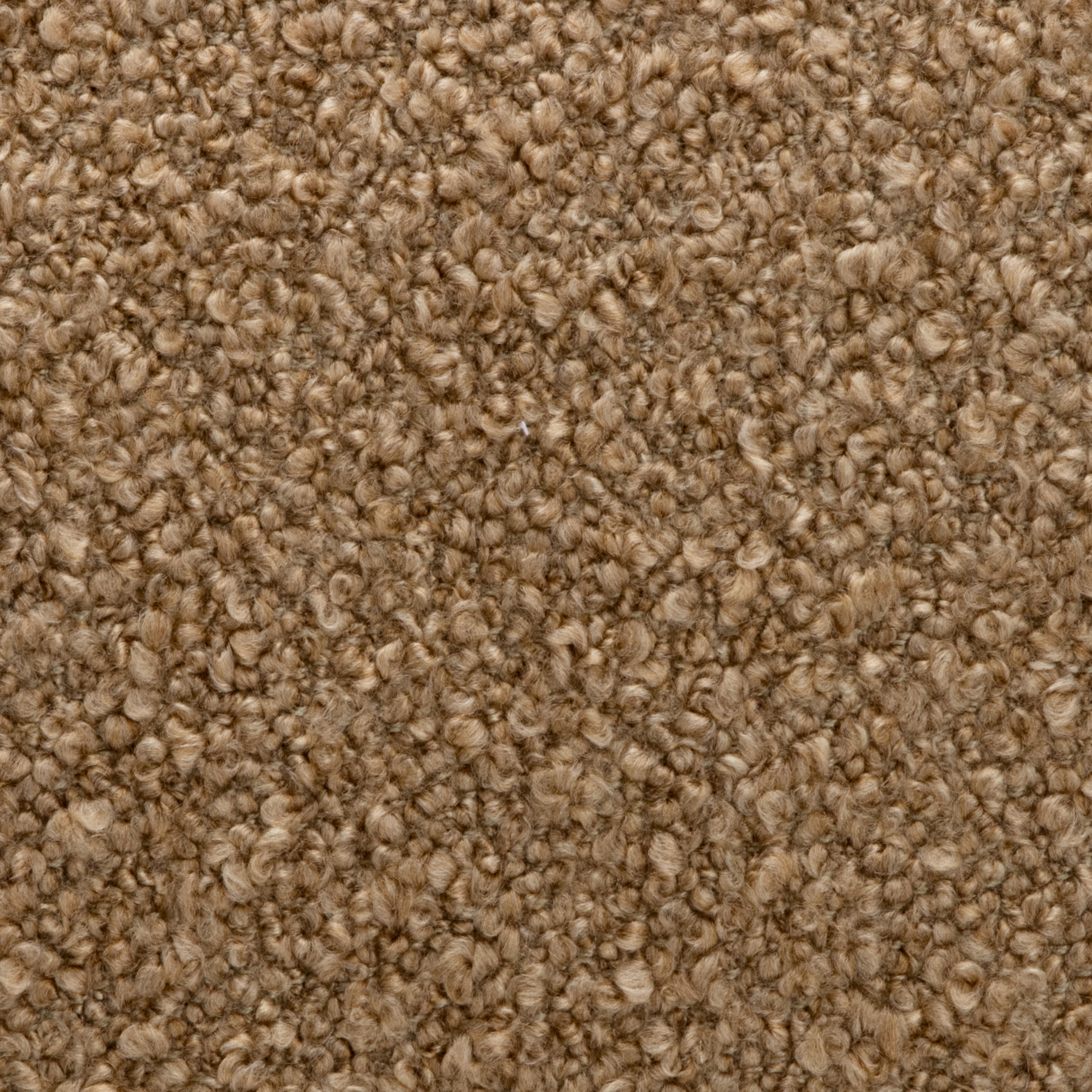 La raffinata semplicità incontra il lusso tattile in questo cuscino decorativo da 22 pollici, rivestito in bouclé crema dalla texture ricca. Morbido al tatto e visivamente elegante, dona calore, profondità e raffinatezza a qualsiasi interno. Il tono
