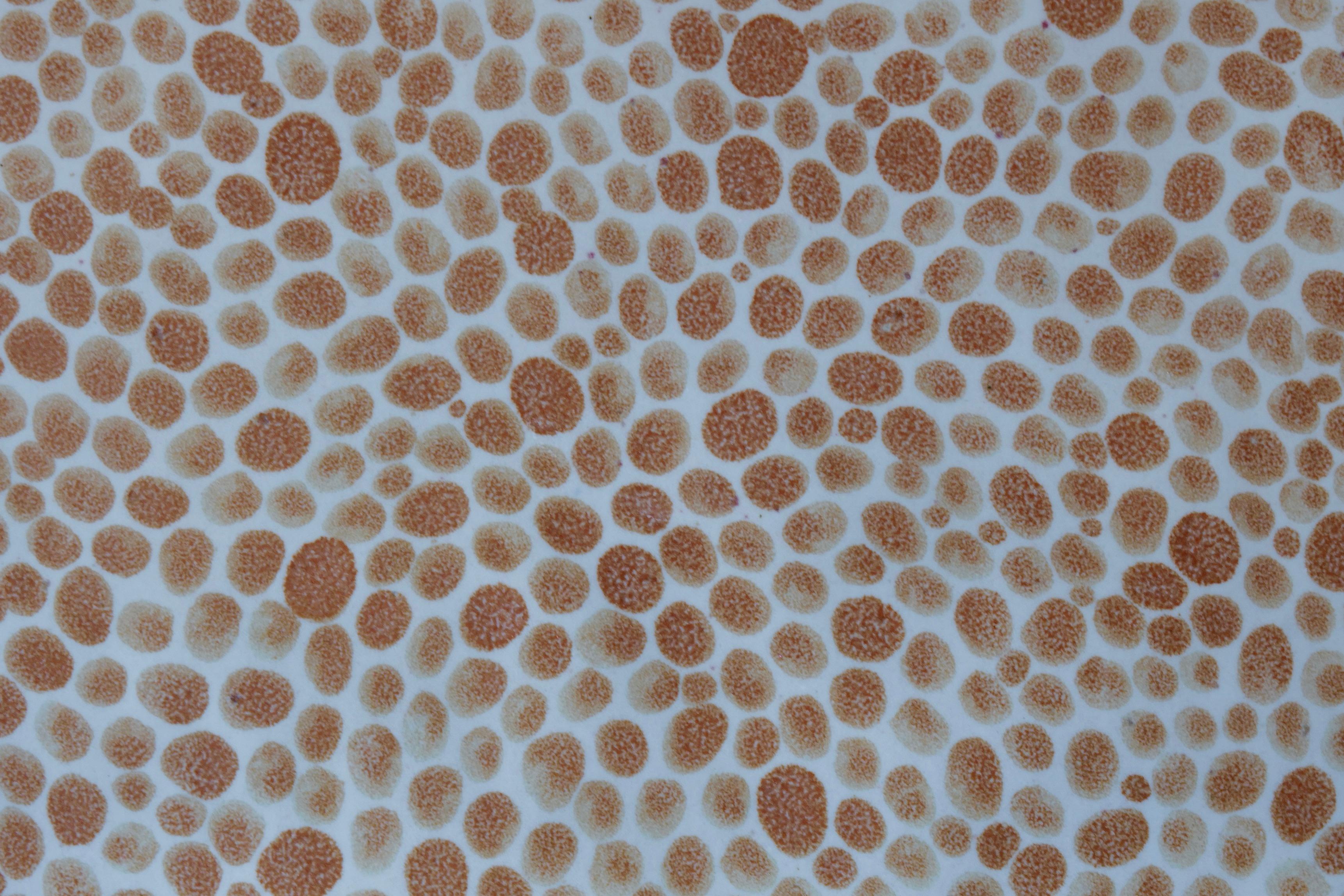 Tan Dots Porcelain Large Tray by Lana Kova In New Condition For Sale In New York City, NY