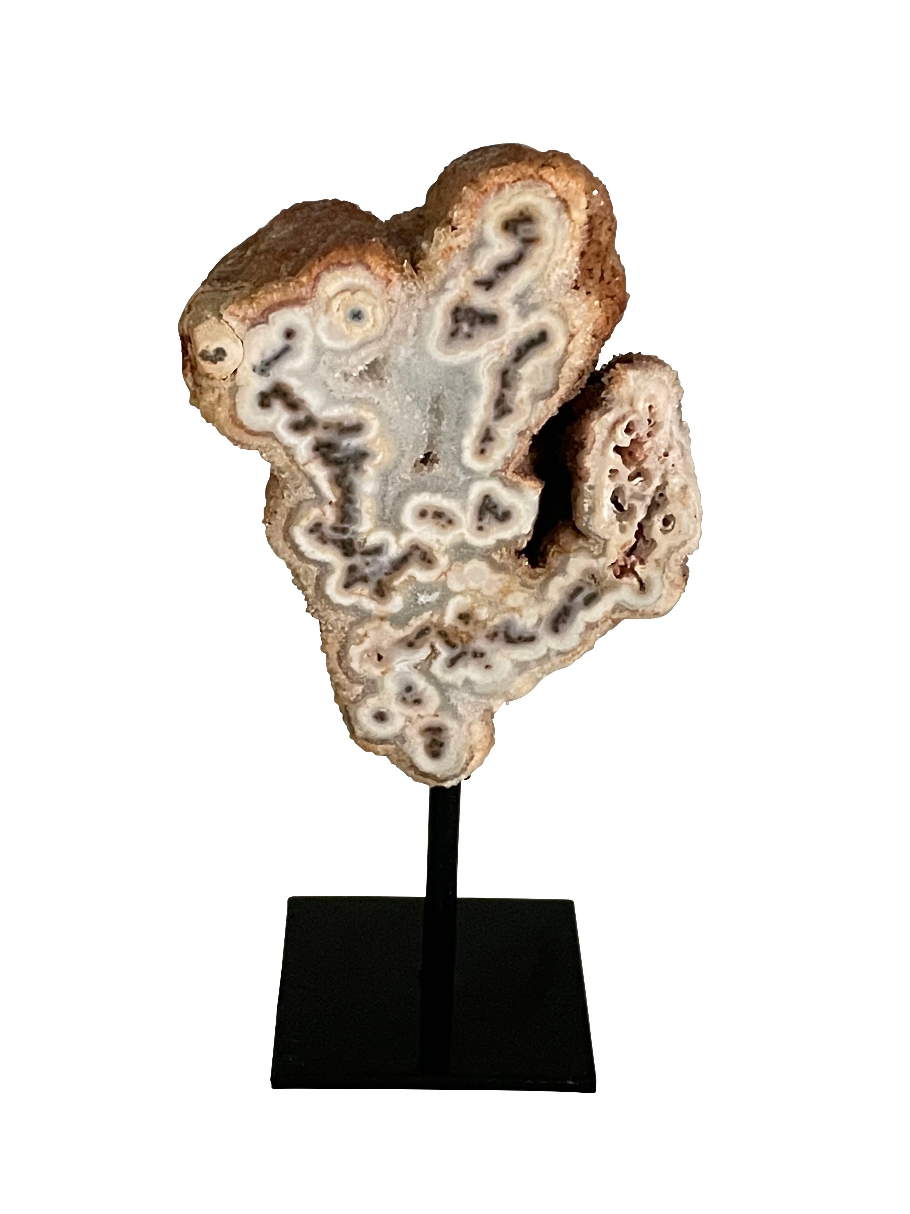 Brazilian extra small tree agate mounted on stand.
Tan in color with natural dark brown design.
