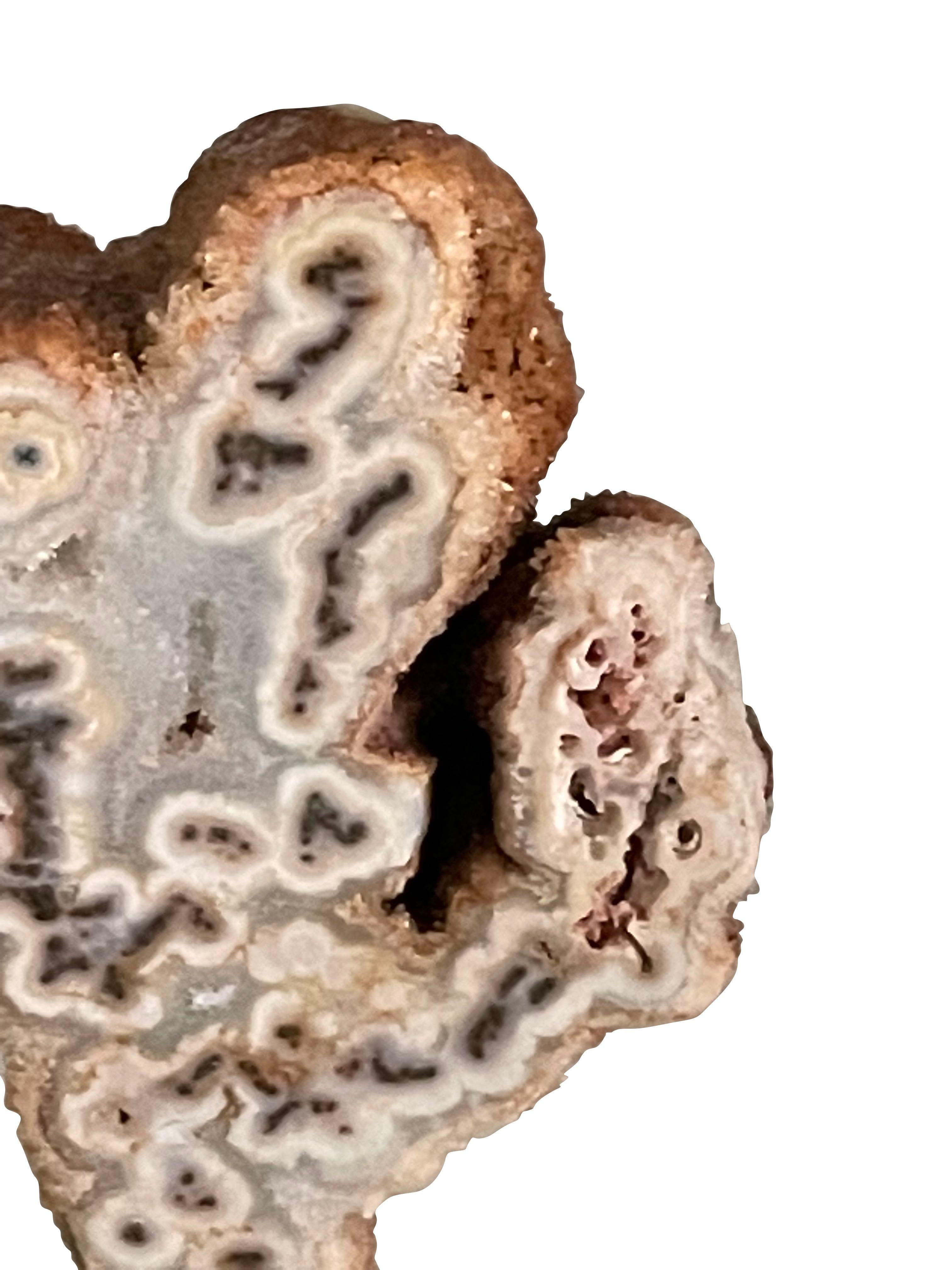 South American Tan Extra Small Tree Agate on Stand, Brazil, Prehistoric