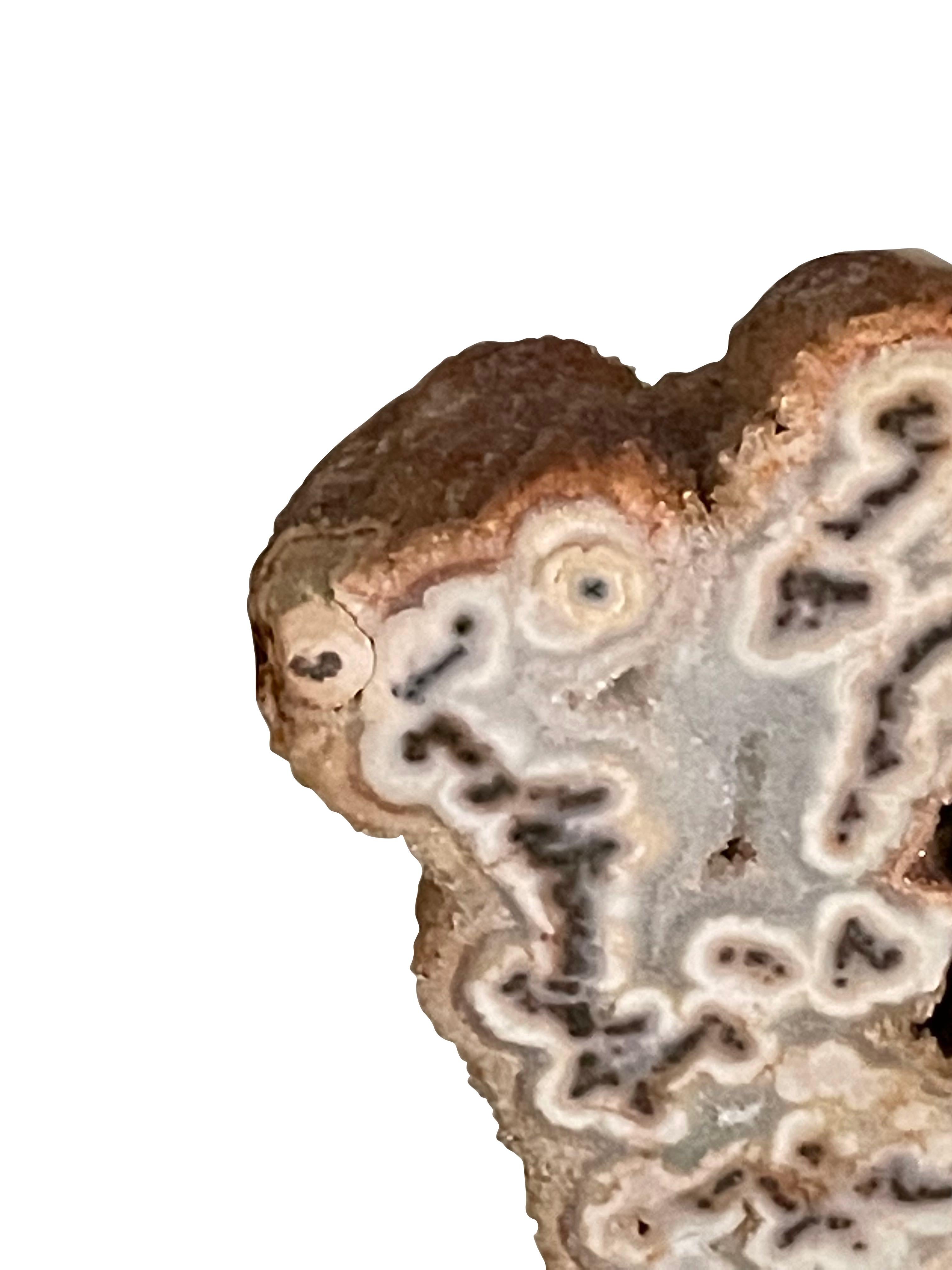 Tan Extra Small Tree Agate on Stand, Brazil, Prehistoric In Good Condition In New York, NY