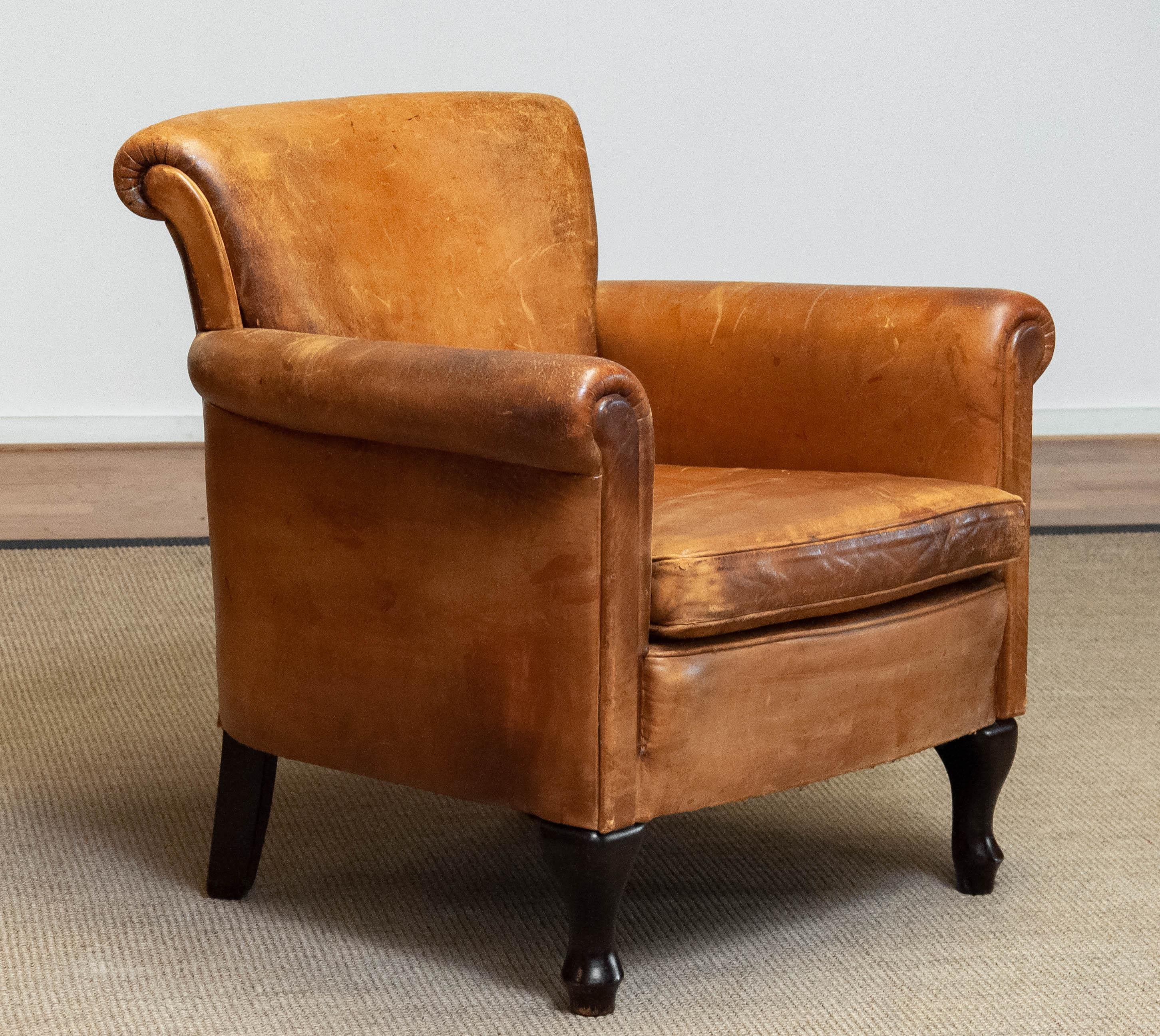 Beautiful, in colonial style, French sheep leather club / lounge chair. Rolled arms and back with loose seat cushion all upholstered with the original, soft, sheep leather. The aged patina and character of these classic club / lounge chairs shows