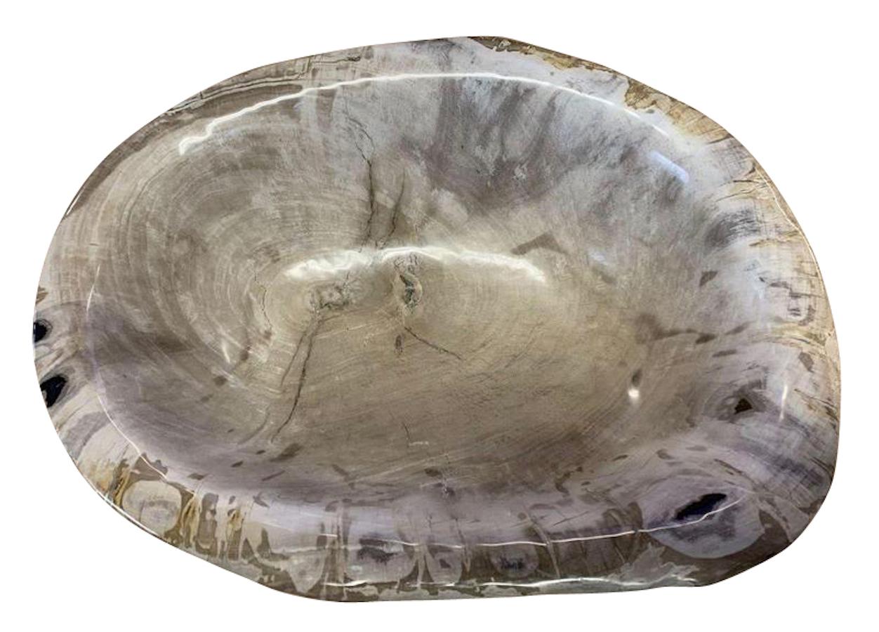 Indonesian Tan Petrified Wood Bowl, Indonesia, Prehistoric