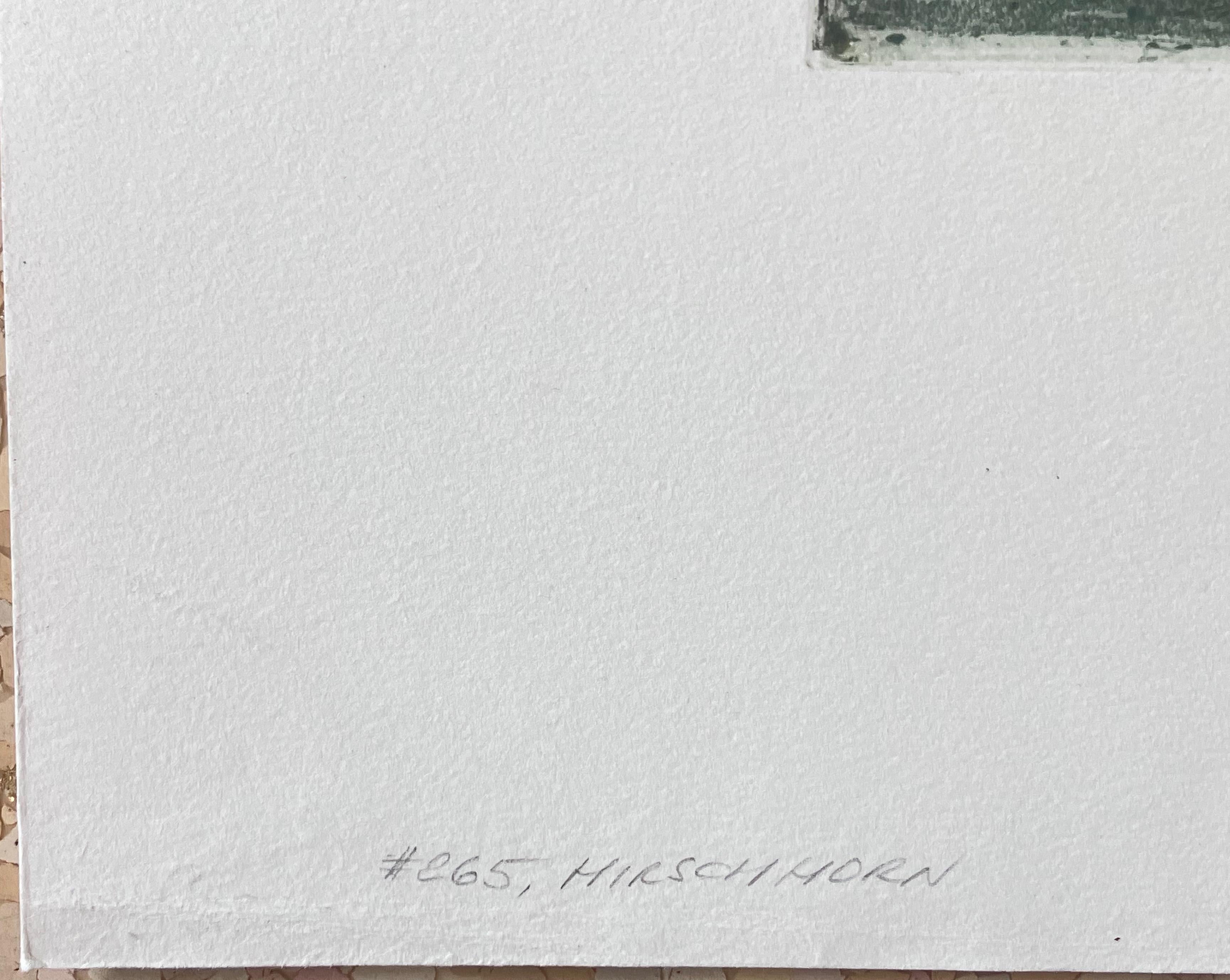This artwork depicts the town of Hirschhorn, a resort town in Germany on the River Neckar near Heidelberg. It is an original color etching by Austrian/American artist Tana Kasimir Hoernes, 1887-1972. It is hand signed in pencil by the artist. The