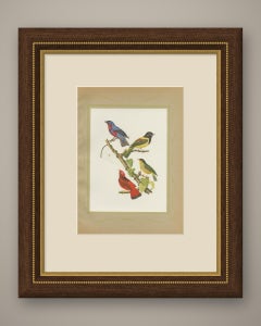 Tanagers and Cotingas, Brazilian Bird Print, Descourtilz, 1944