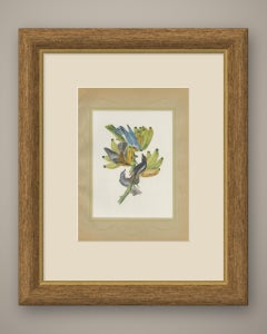 Tanagers on a Banana Plant, Brazilian Bird Print, Descourtilz, 1944
