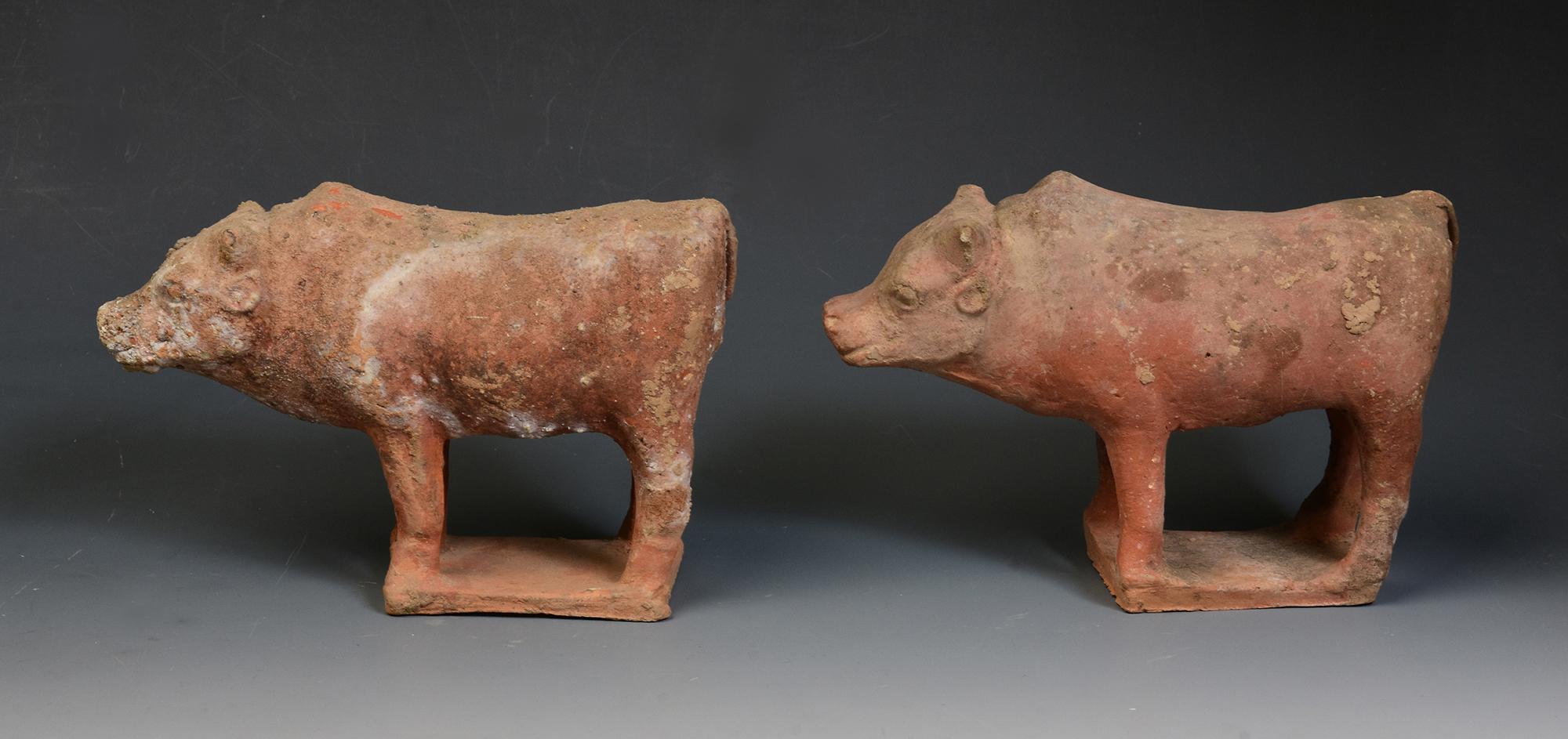 Tang Dynasty, A Pair of Antique Chinese Pottery Standing Cow For Sale 5