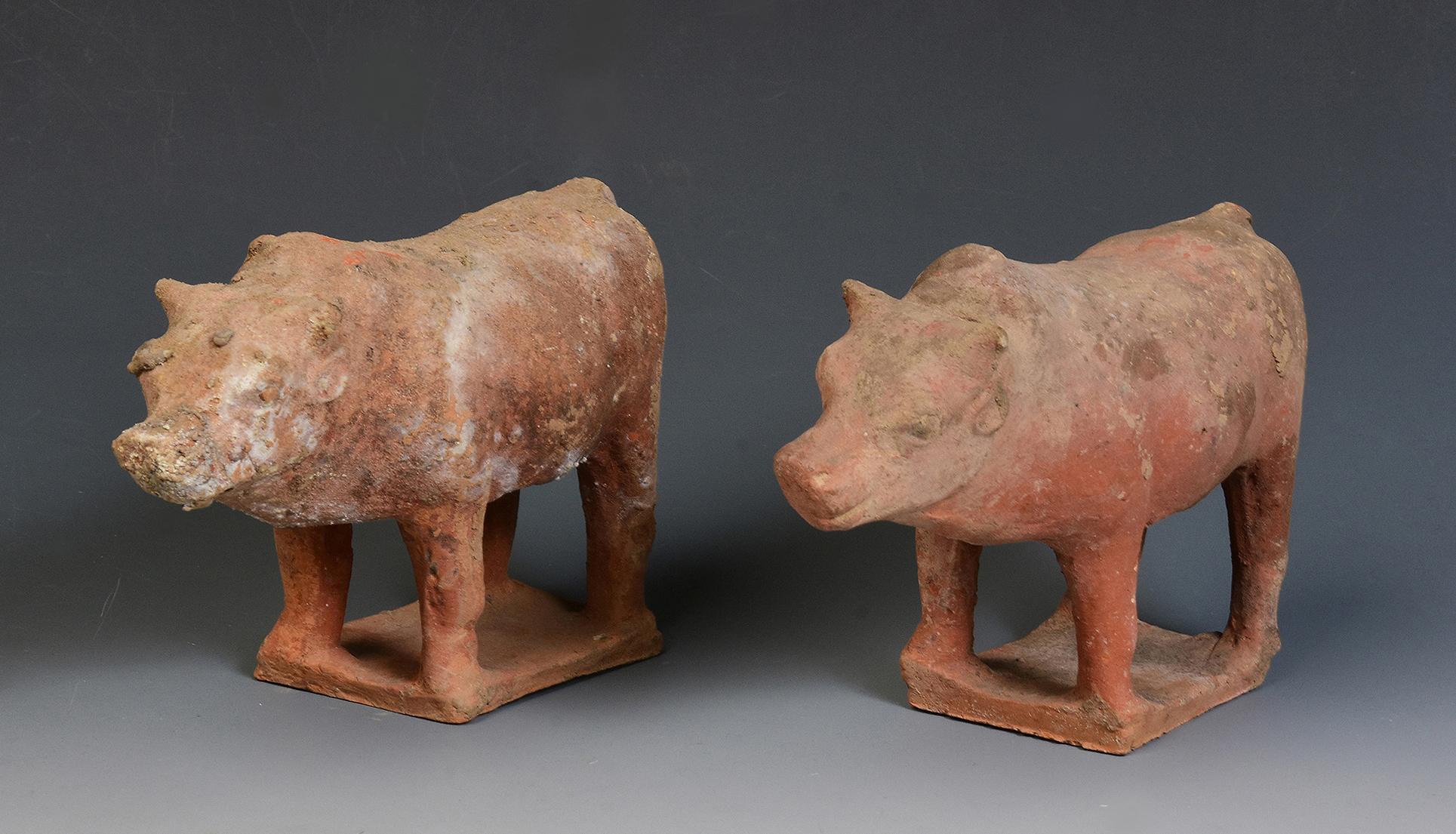 Tang Dynasty, A Pair of Antique Chinese Pottery Standing Cow For Sale 8