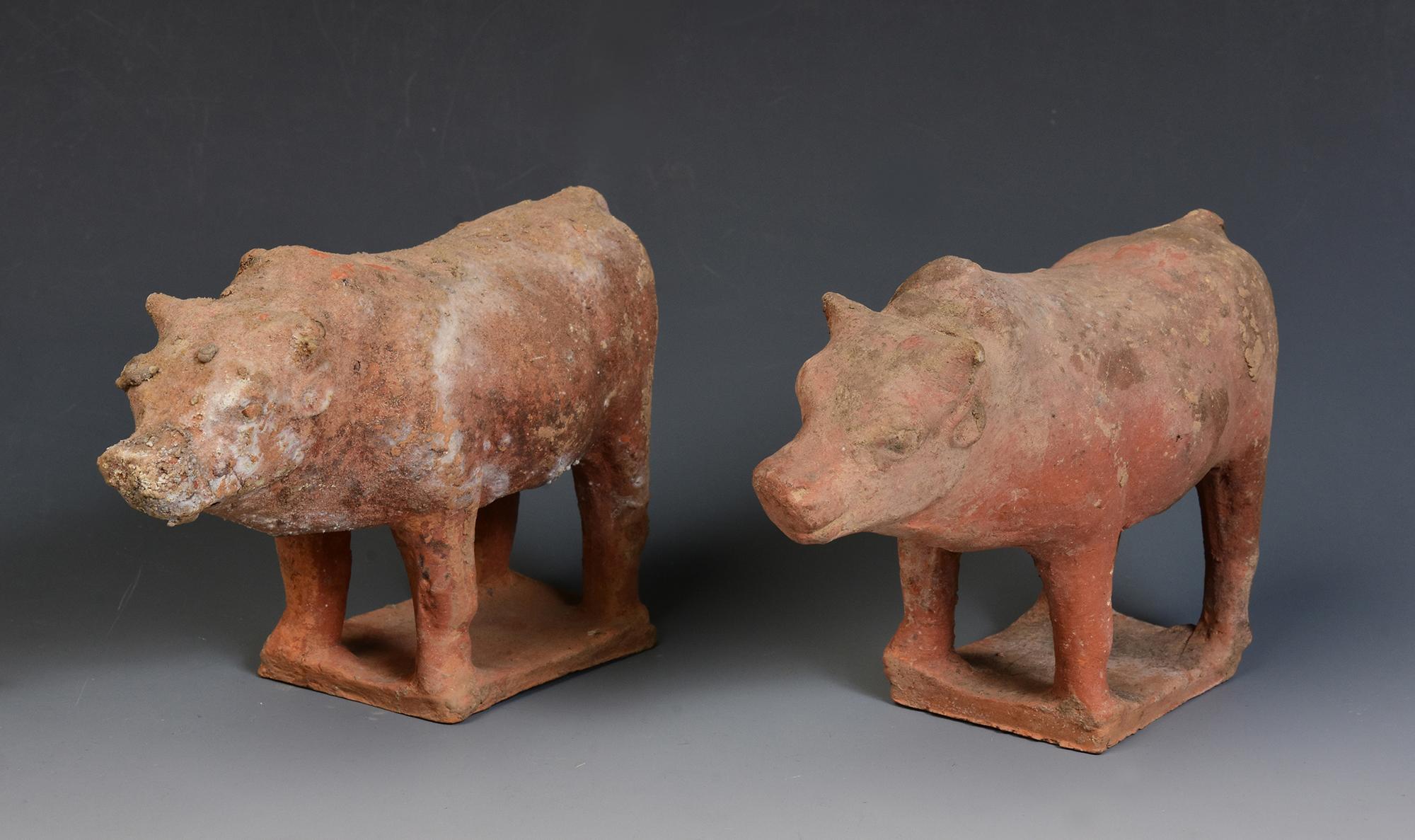 A pair of antique Chinese pottery standing cow.

Age: China, Tang Dynasty, A.D. 618 - 907
Size: Length 15.8 - 16 C.M. / Width 6.5 - 6.7 C.M. / Height 10.5 - 10.8 C.M.
Condition: Well-preserved old burial condition overall with some amount of soil