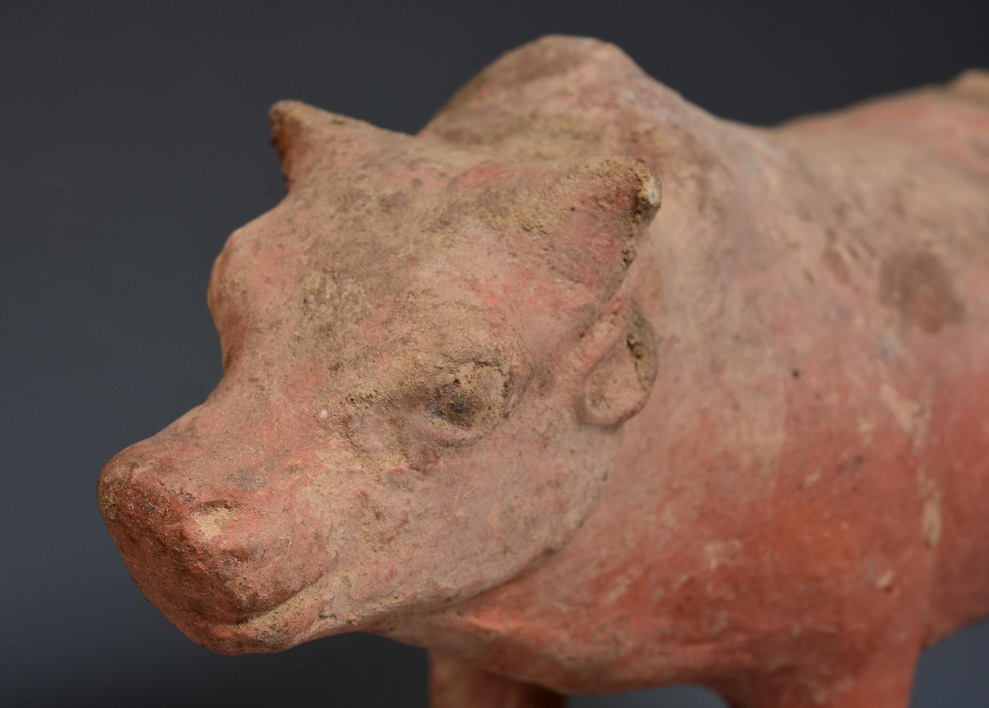 Tang Dynasty, A Pair of Antique Chinese Pottery Standing Cow In Good Condition For Sale In Sampantawong, TH