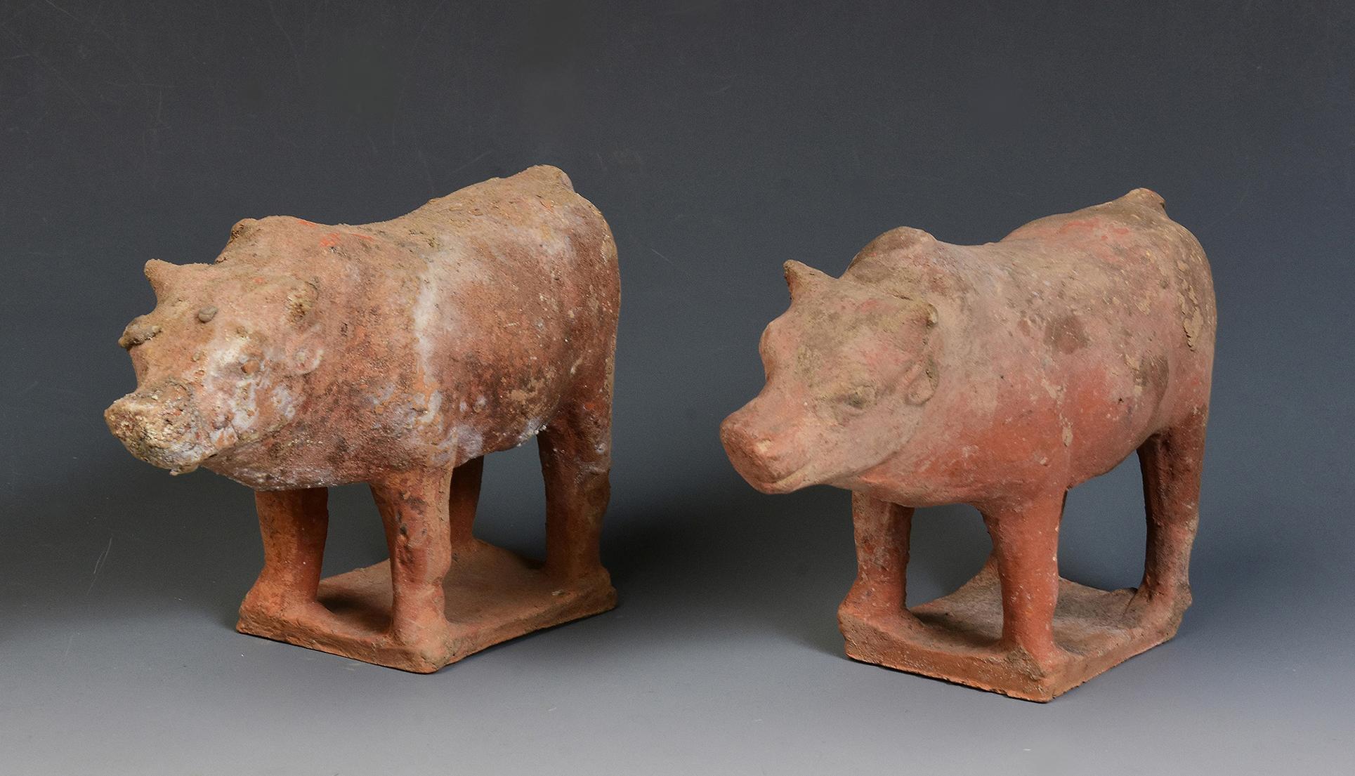 18th Century and Earlier Tang Dynasty, A Pair of Antique Chinese Pottery Standing Cow For Sale