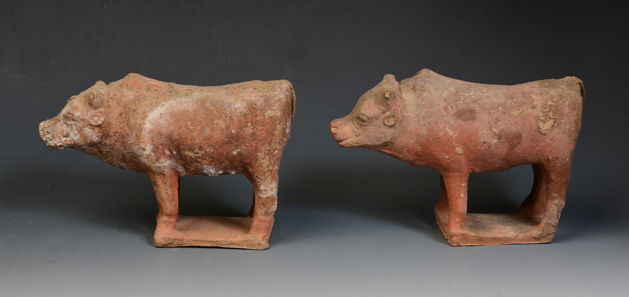 Tang Dynasty, A Pair of Antique Chinese Pottery Standing Cow For Sale 4