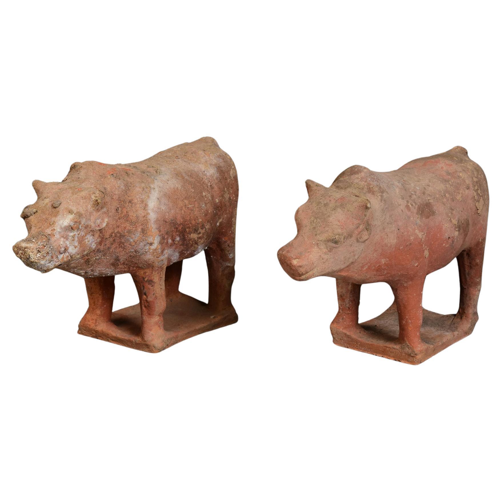 Tang Dynasty, Ein Paar antike chinesische Töpferwaren Stehende Kuh