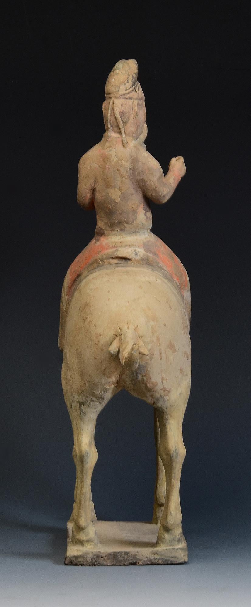Tang Dynasty, Antique Chinese Painted Pottery Horse and Rider 5