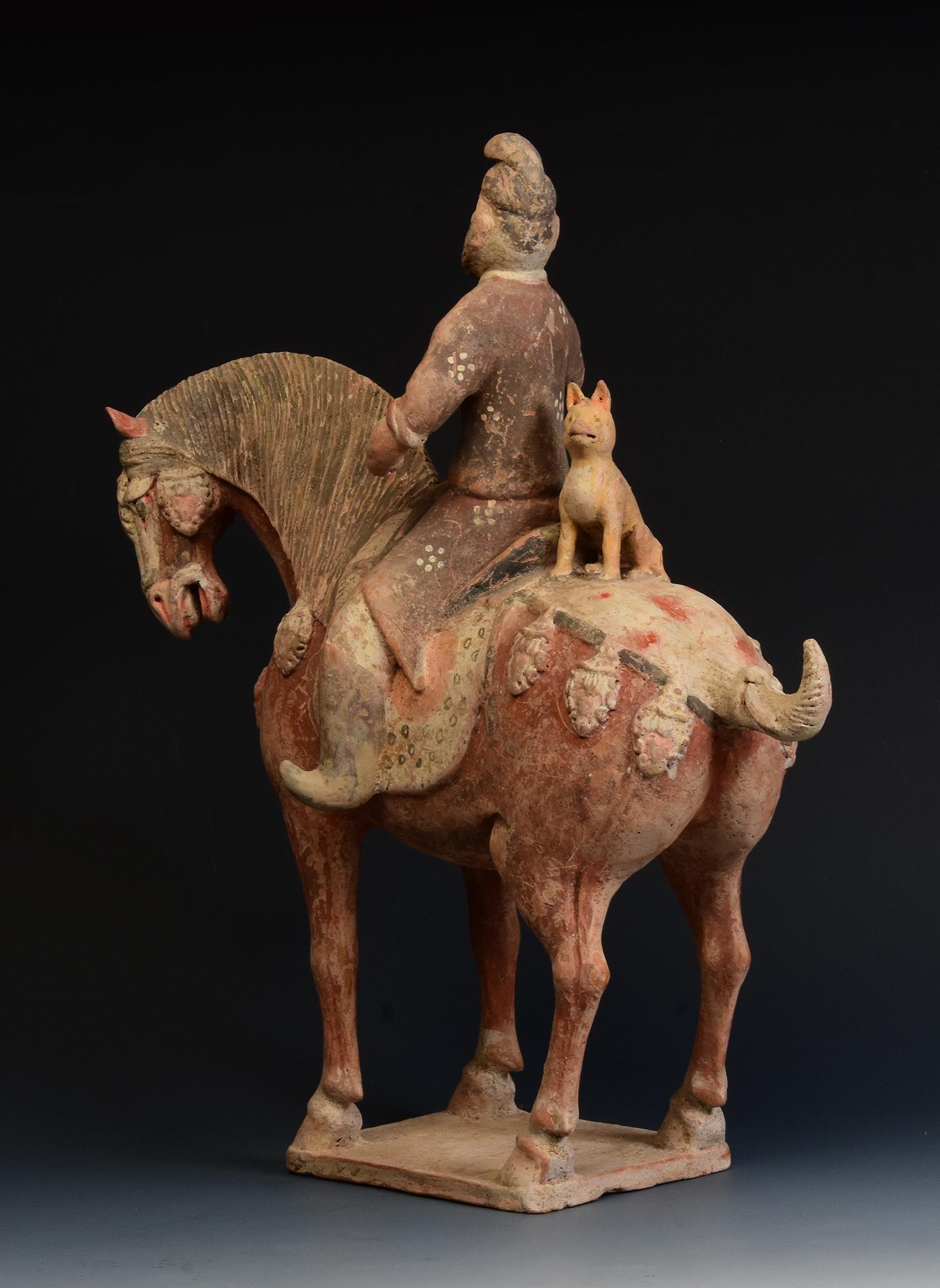 Dynasty Tang, Antiquités chinoises en poterie peinte Cheval et cavalier avec Oxford TLTest en vente 1