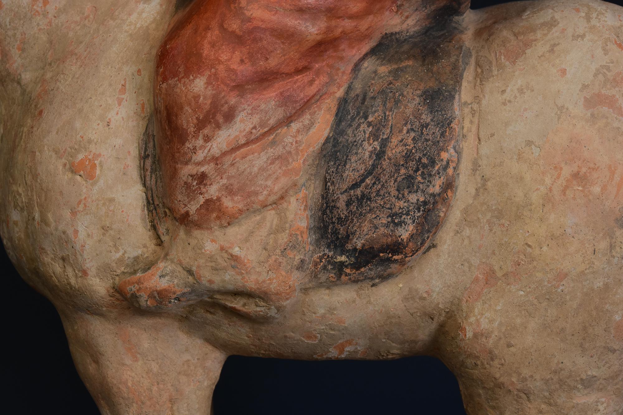 Tang Dynasty, antica ceramica cinese dipinta Cavallo e cavaliere con Oxford TLTest in vendita 1