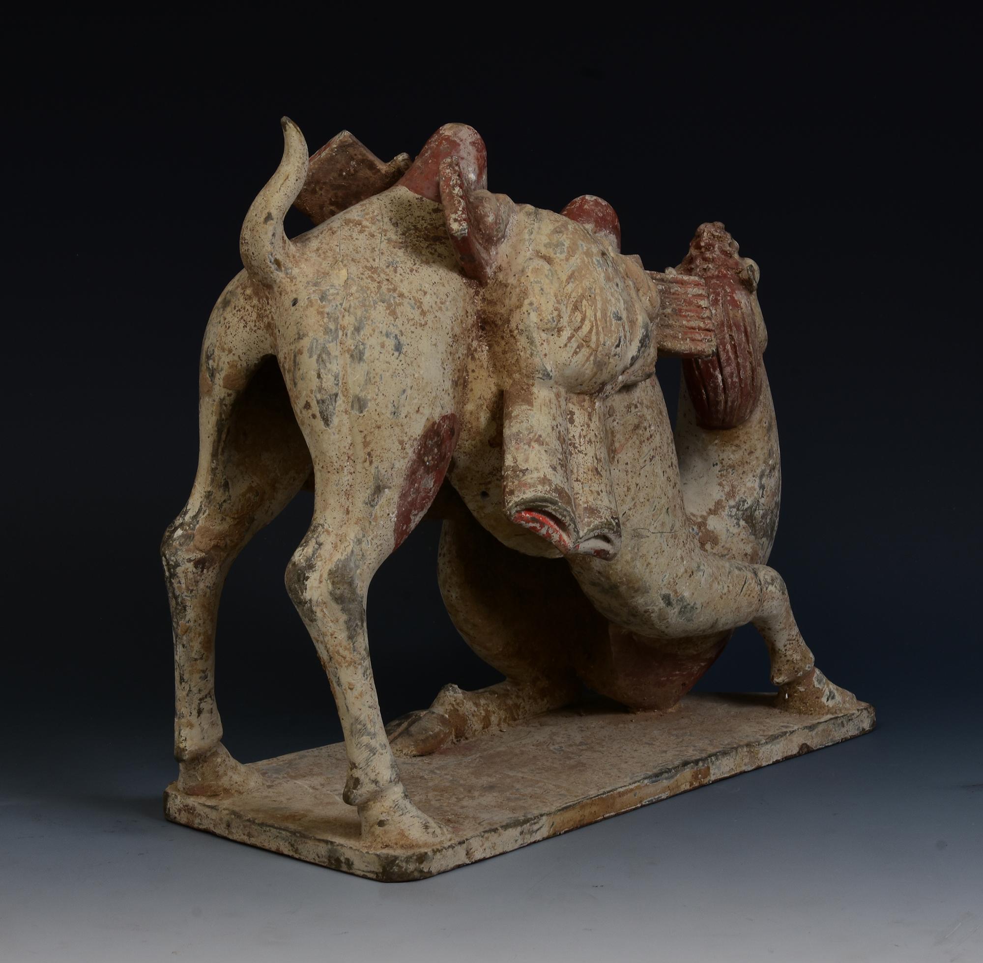 Dinastía Tang, Camello arrodillado de cerámica china antigua pintada con Oxford TL Test en venta 3