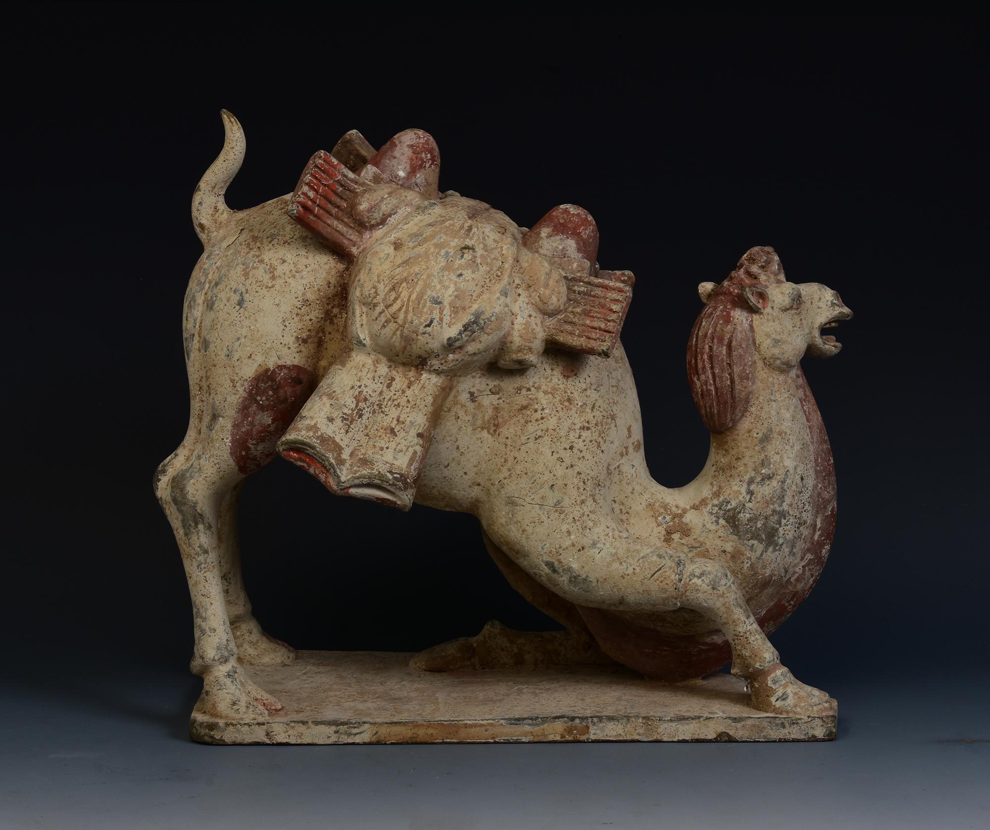 Dinastía Tang, Camello arrodillado de cerámica china antigua pintada con Oxford TL Test en venta 4