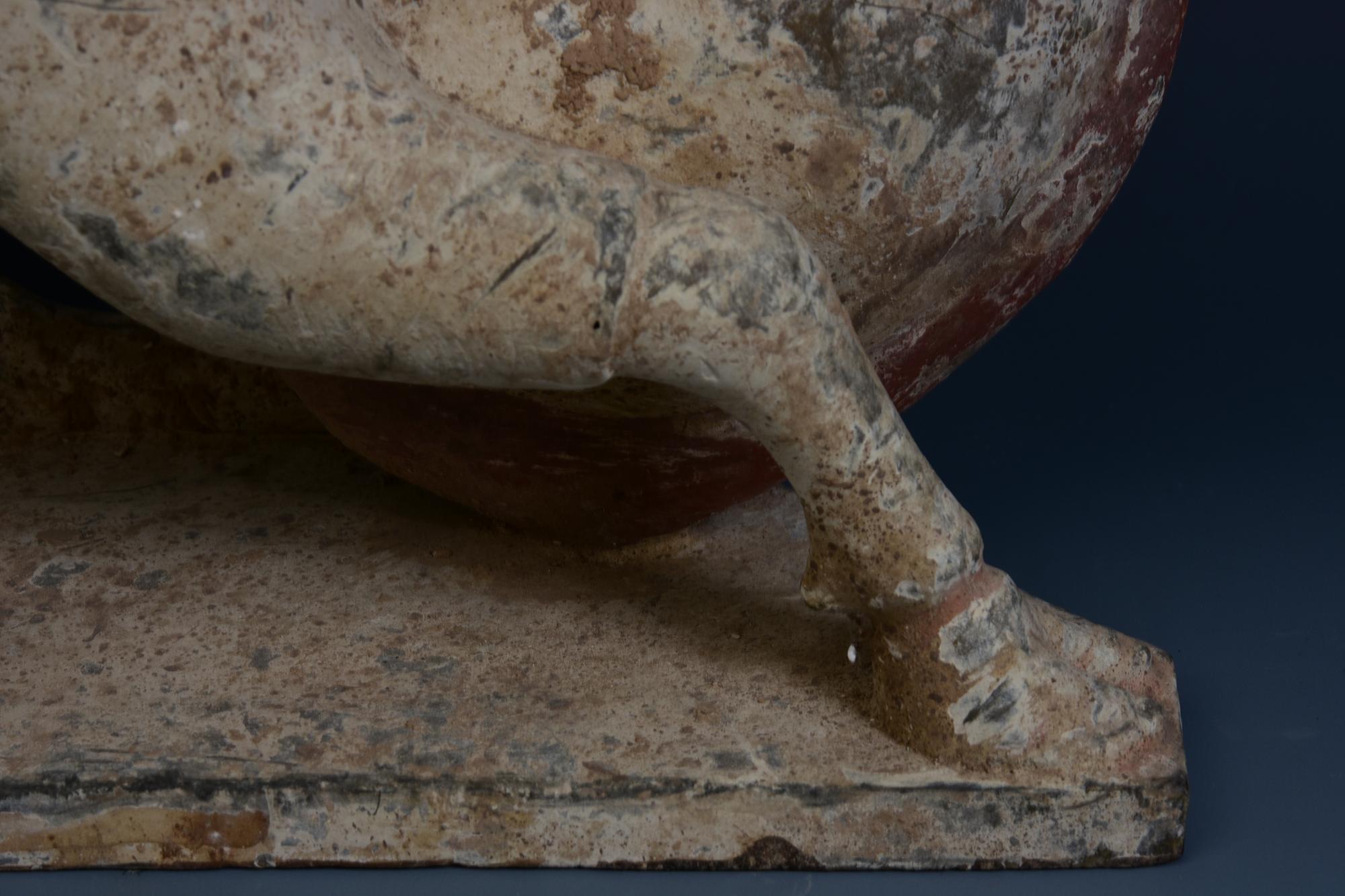 Dinastía Tang, Camello arrodillado de cerámica china antigua pintada con Oxford TL Test en venta 7