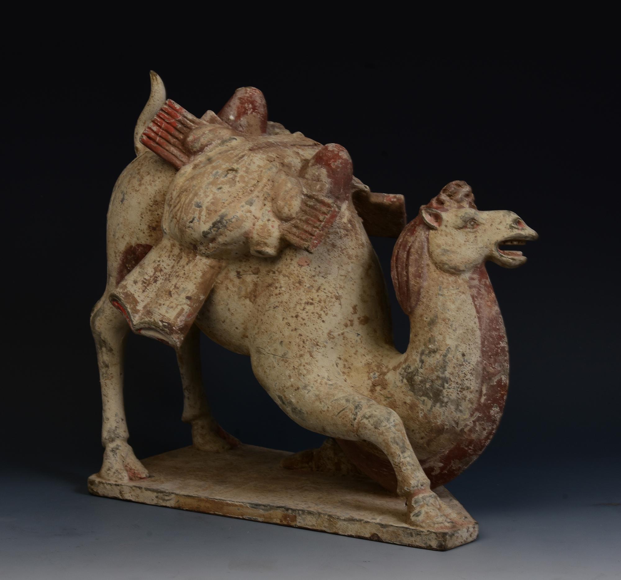 Dinastía Tang, Camello arrodillado de cerámica china antigua pintada con Oxford TL Test en venta 8