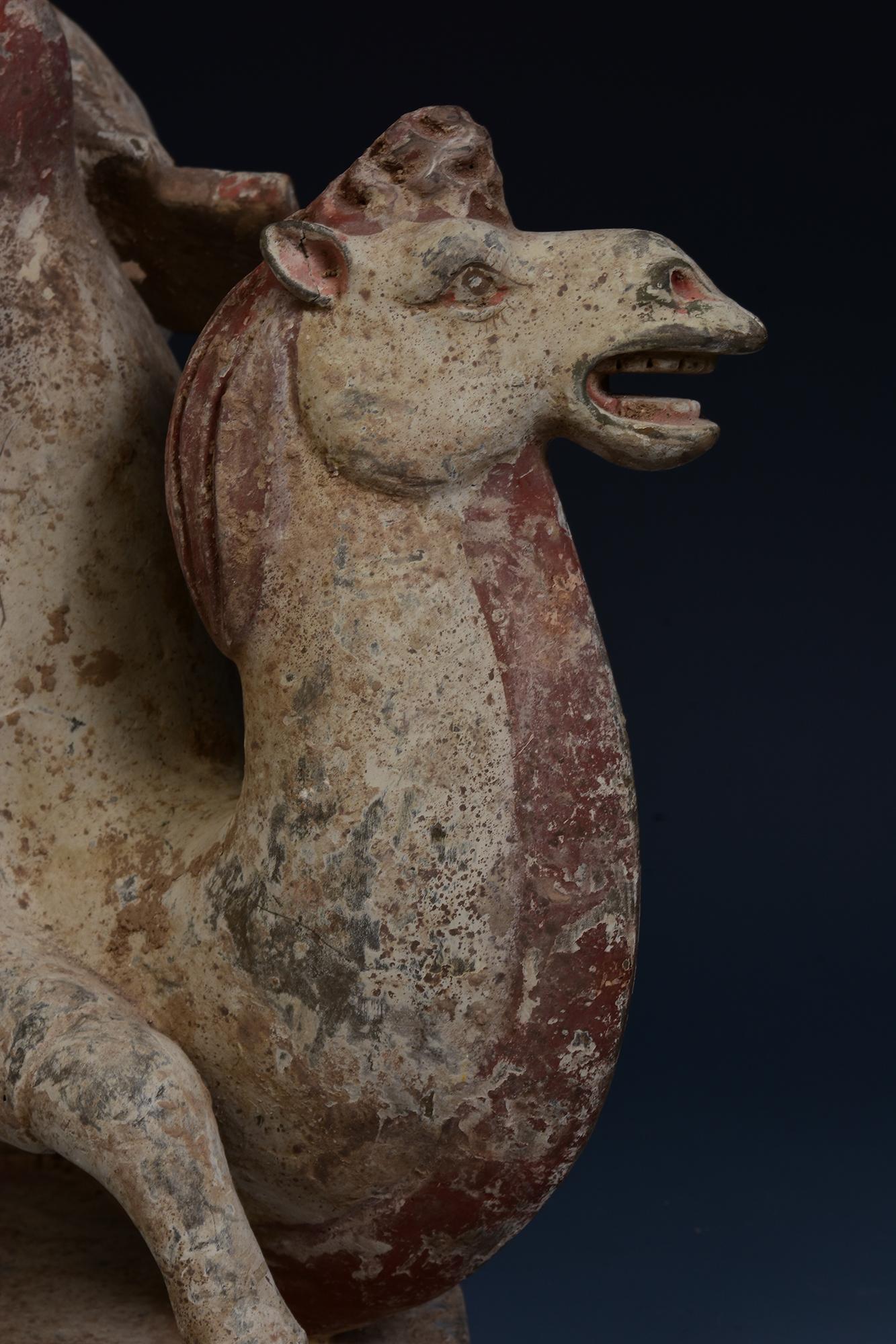 Dinastía Tang, Camello arrodillado de cerámica china antigua pintada con Oxford TL Test en venta 9