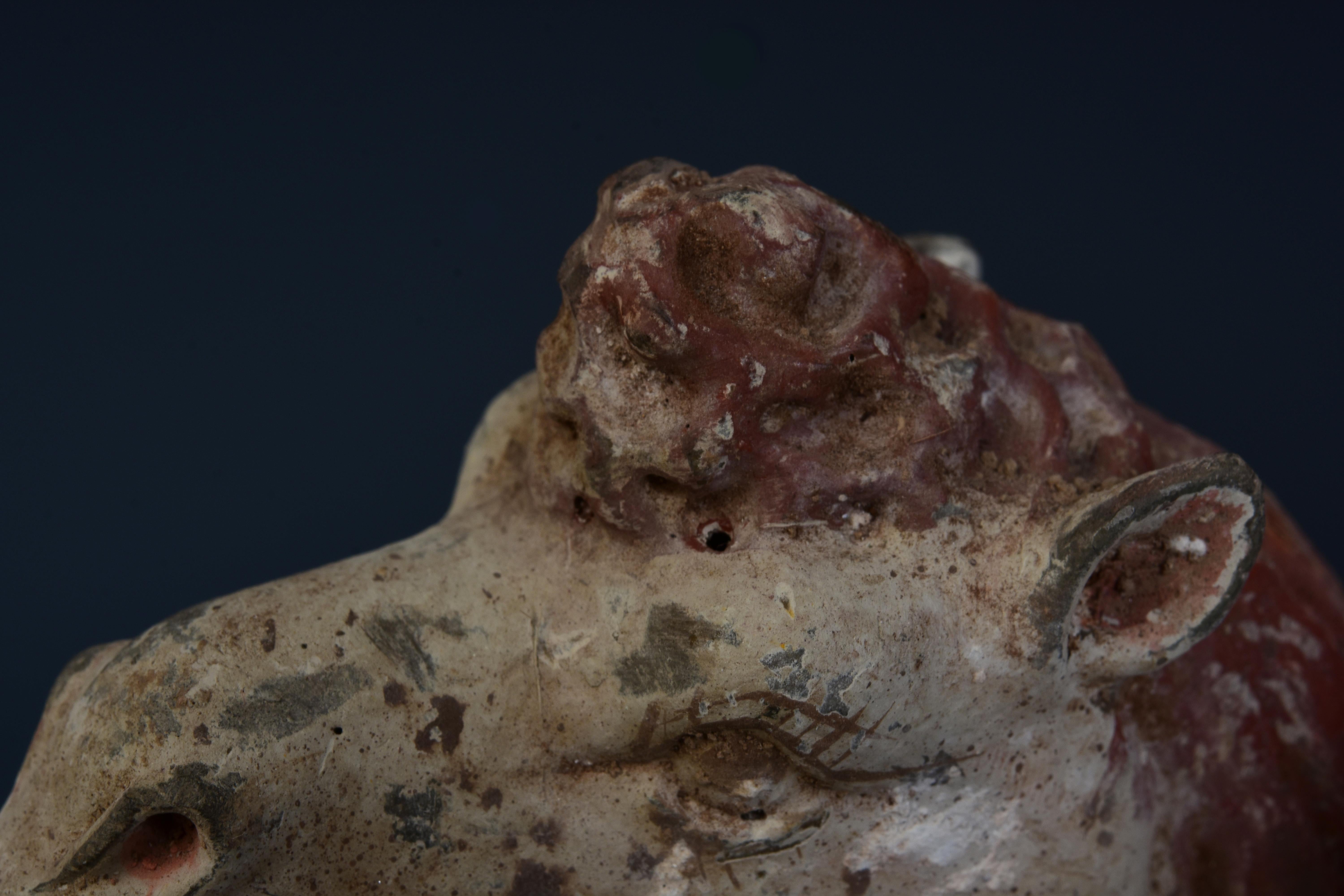 Dinastía Tang, Camello arrodillado de cerámica china antigua pintada con Oxford TL Test en venta 12