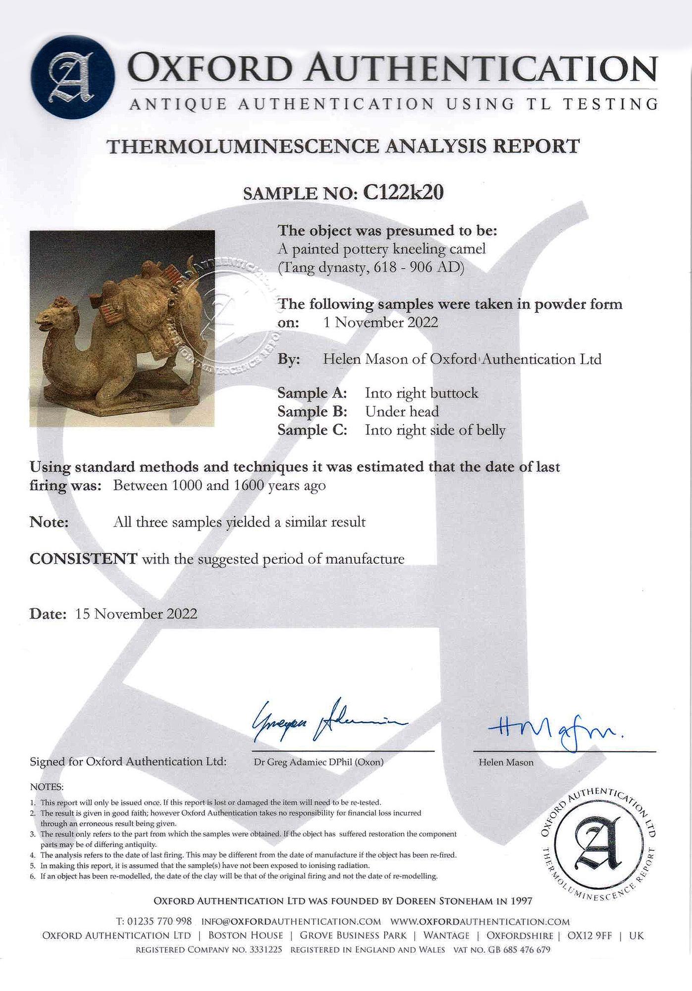 Dinastía Tang, Camello arrodillado de cerámica china antigua pintada con Oxford TL Test en venta 13