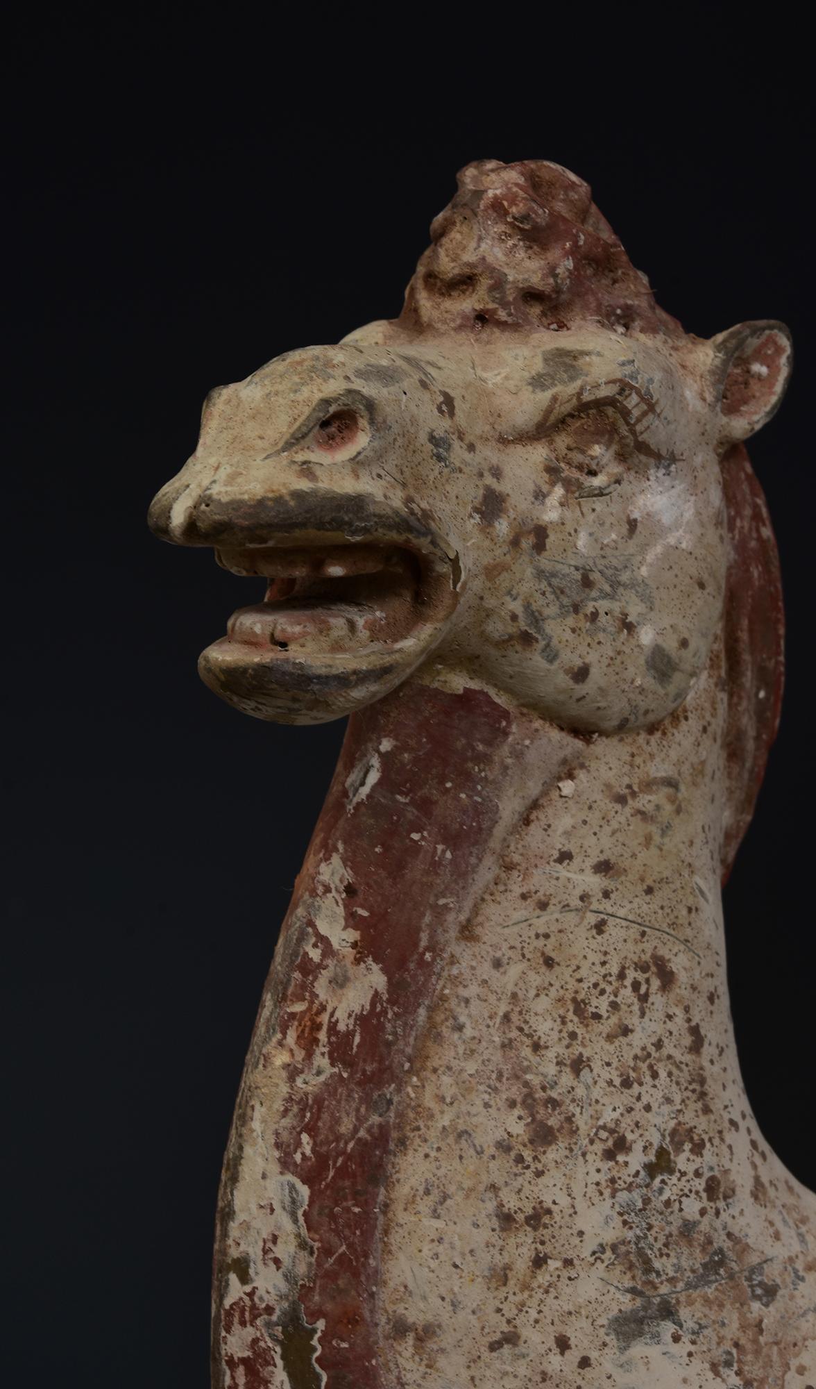 Dinastía Tang, Camello arrodillado de cerámica china antigua pintada con Oxford TL Test Chino en venta