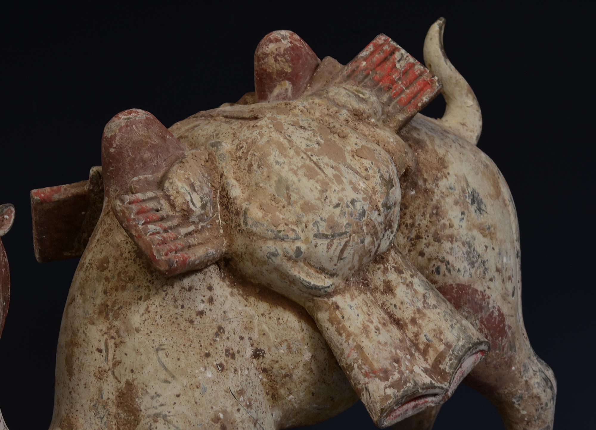 Dinastía Tang, Camello arrodillado de cerámica china antigua pintada con Oxford TL Test Tallado a mano en venta