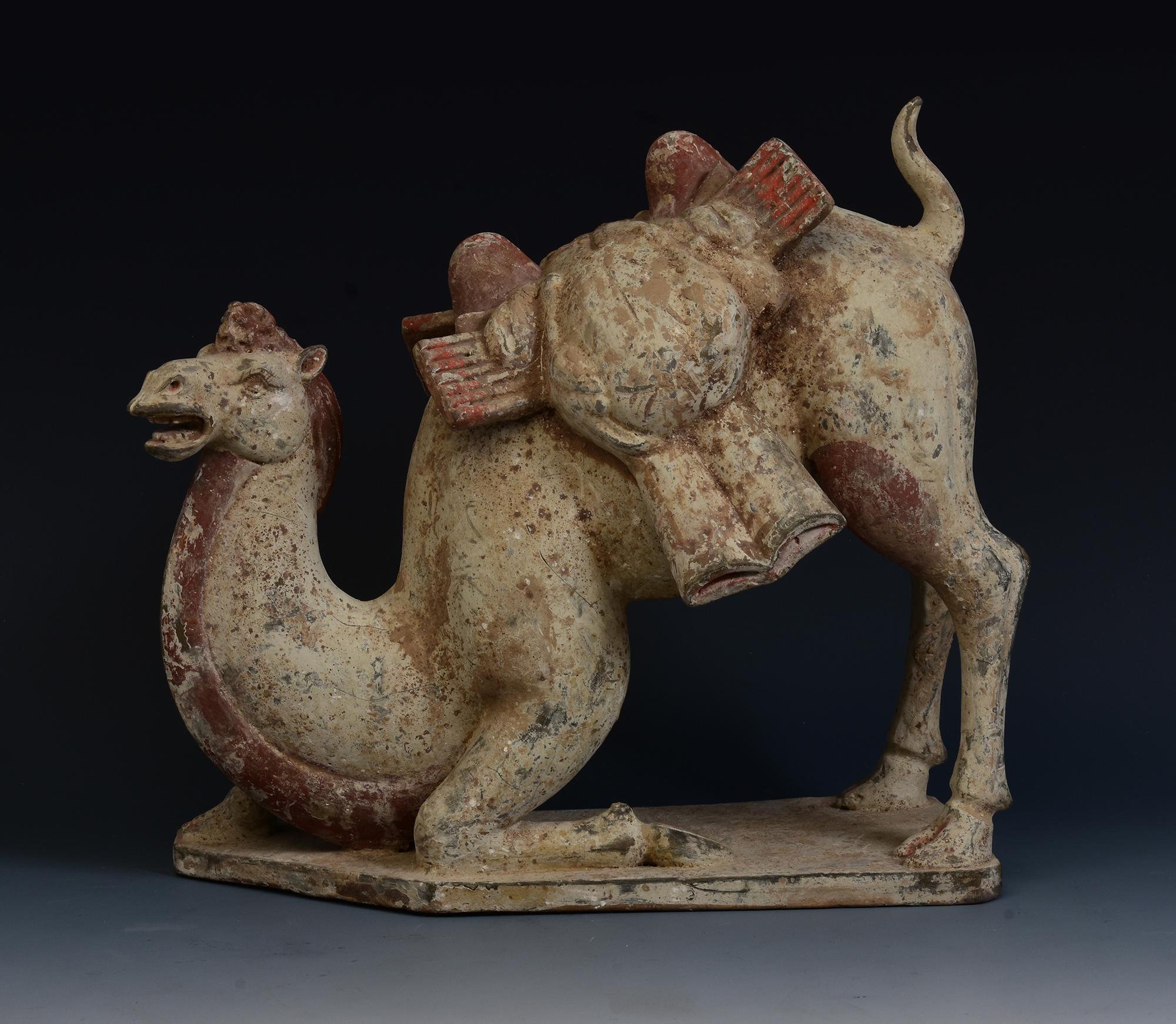 Dinastía Tang, Camello arrodillado de cerámica china antigua pintada con Oxford TL Test siglo XVIII y antes en venta