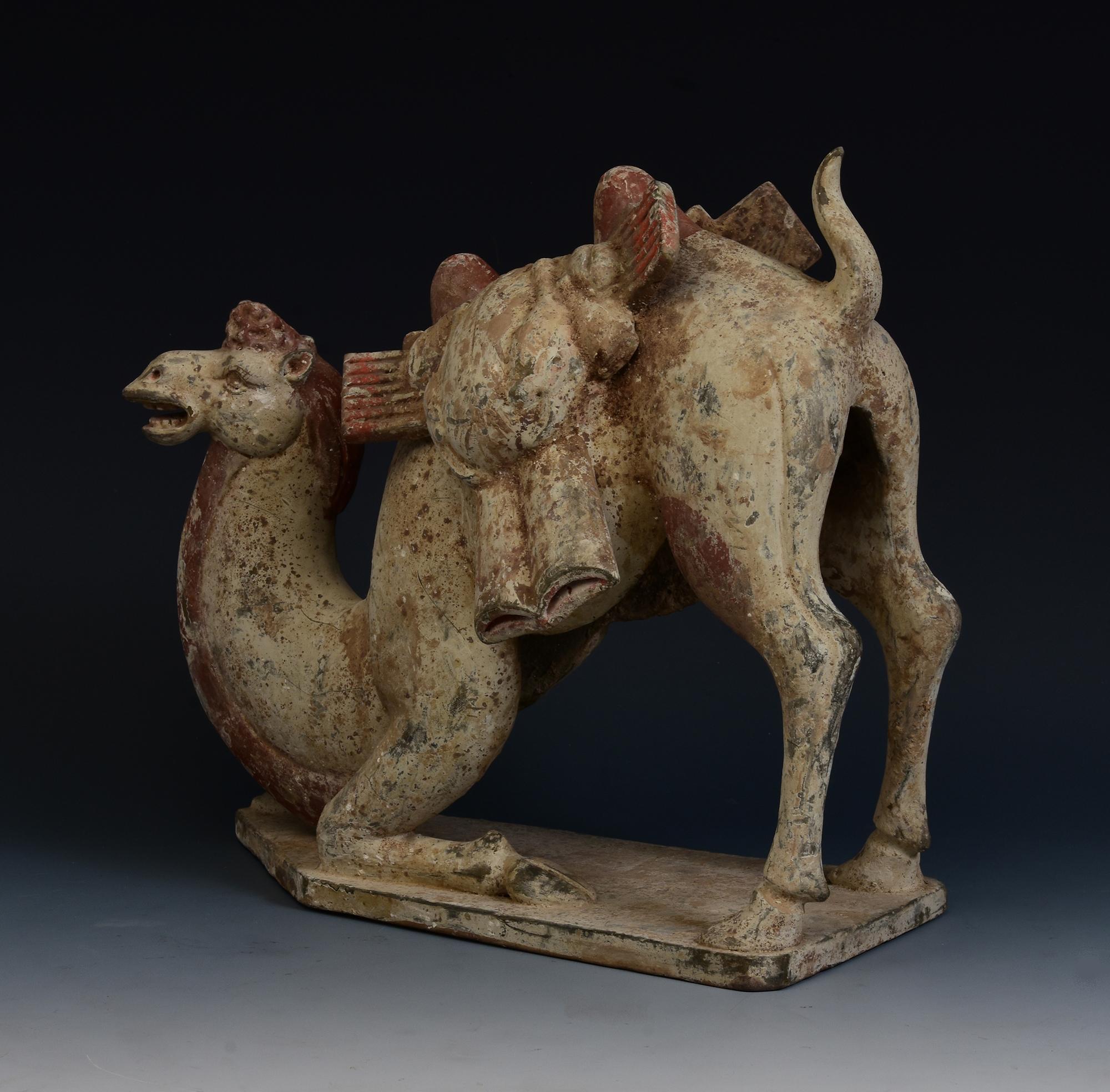 Dinastía Tang, Camello arrodillado de cerámica china antigua pintada con Oxford TL Test Alfarería en venta