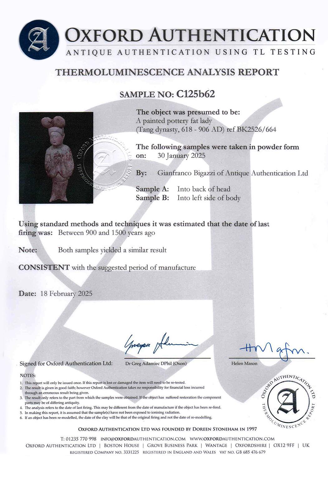 Tang Dynasty, Antique Chinese Painted Pottery Fat Lady with Oxford TL Test For Sale 10