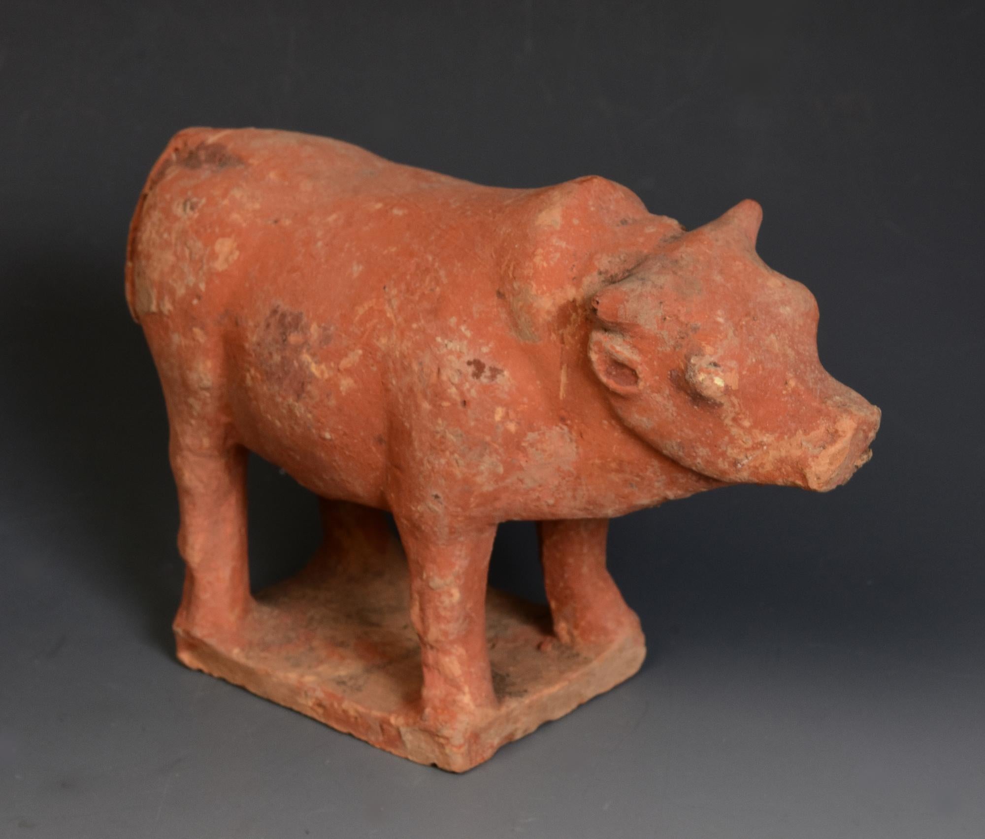 Tang Dynasty, Antique Chinese Pottery Standing Cow For Sale 5
