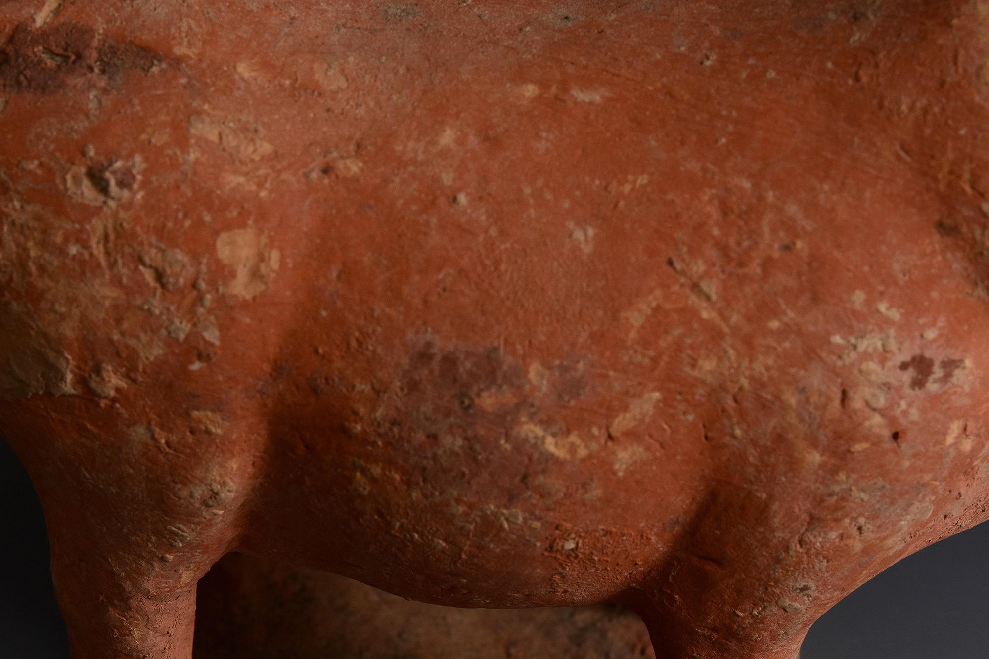 Tang Dynasty, Antique Chinese Pottery Standing Cow en vente 4