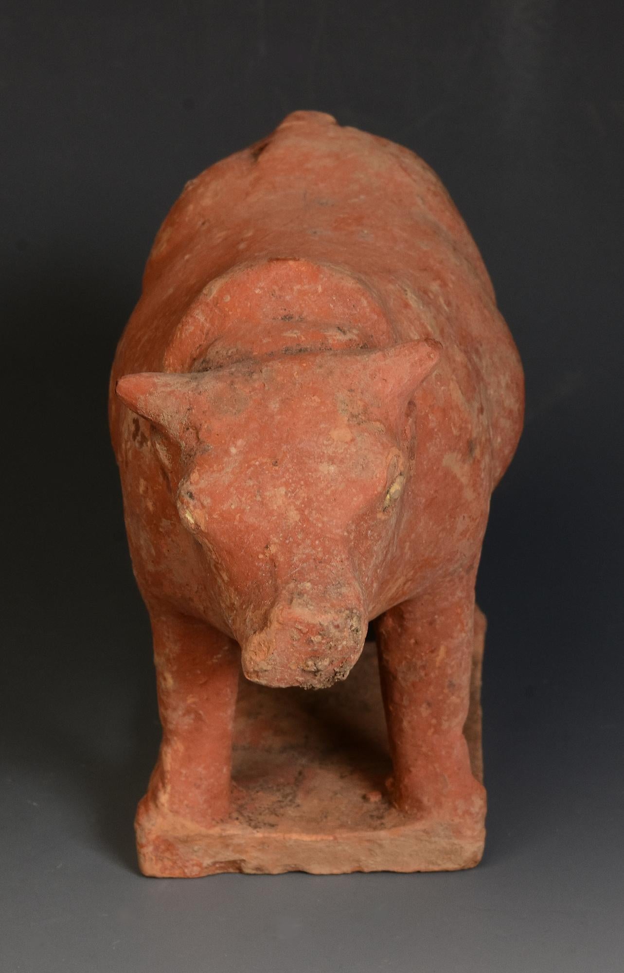 Tang Dynasty, Antique Chinese Pottery Standing Cow For Sale 7