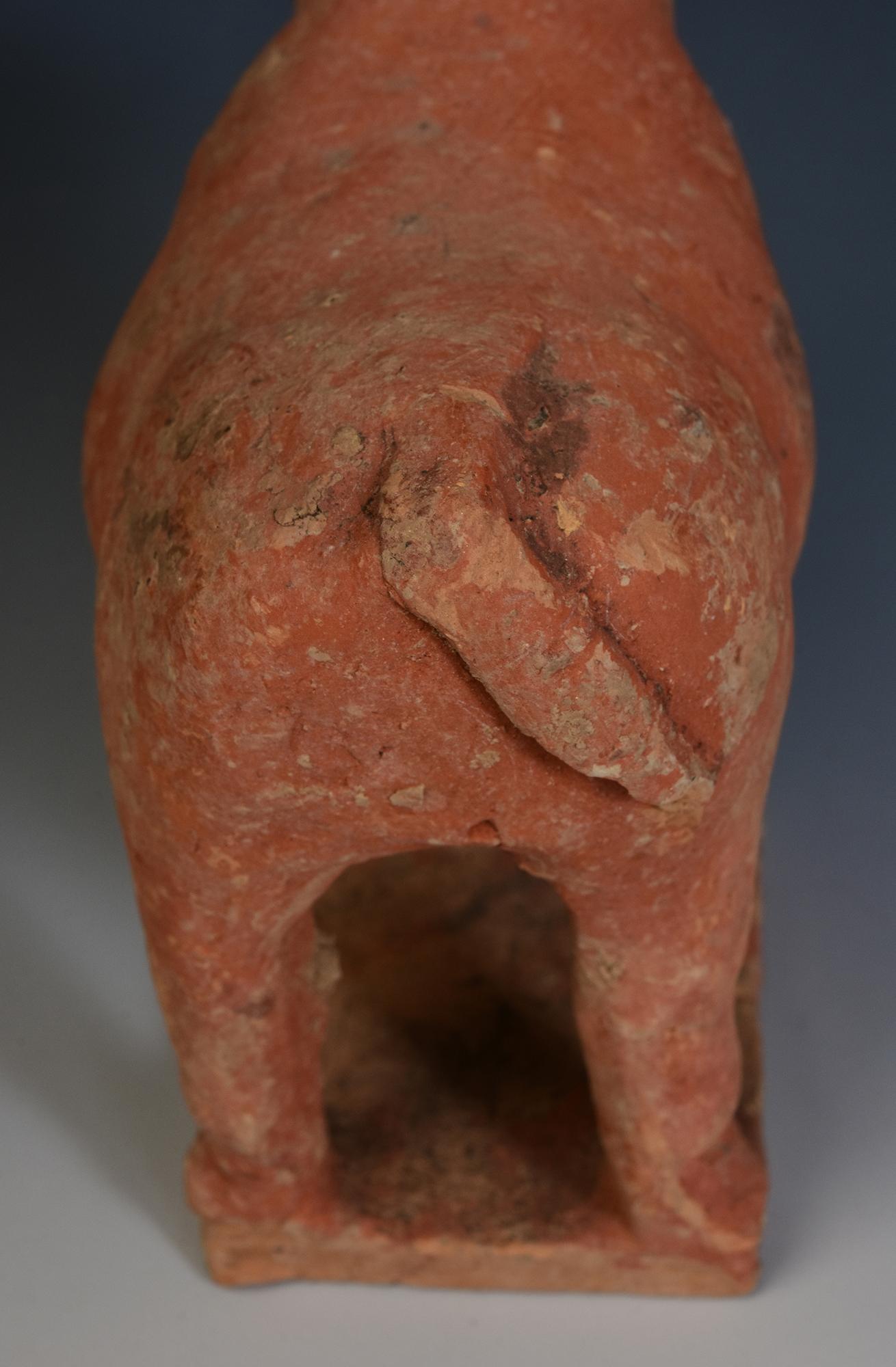 Tang Dynasty, Antique Chinese Pottery Standing Cow en vente 7