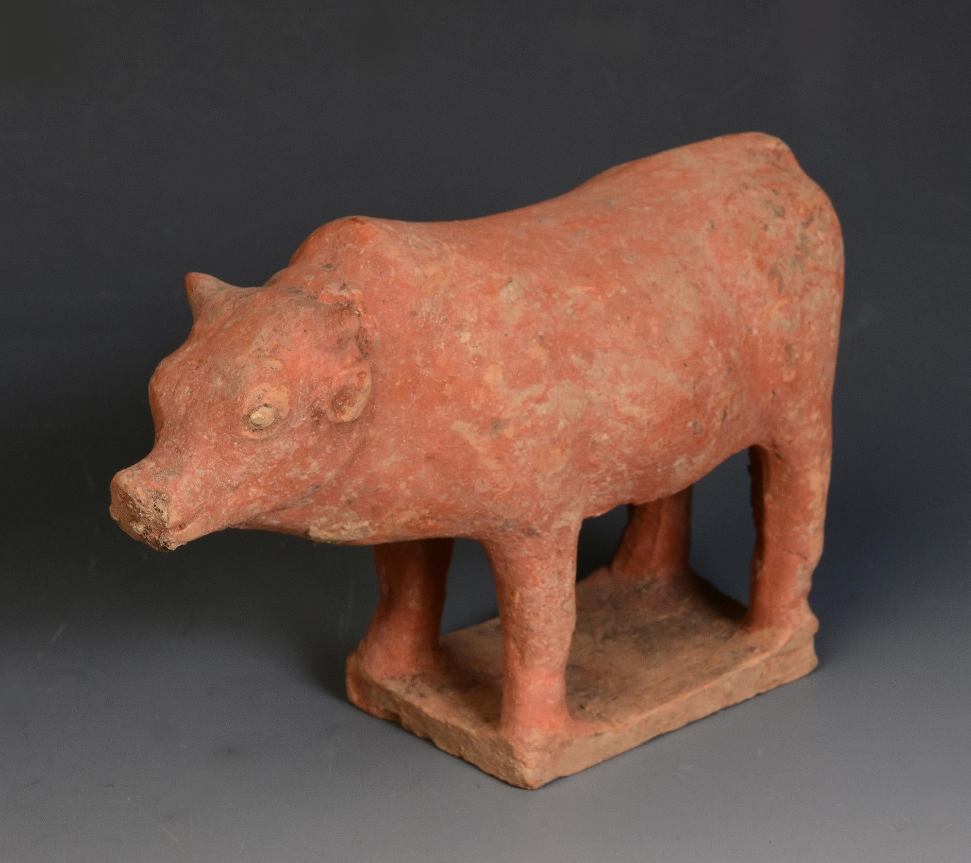 Tang Dynasty, Antique Chinese Pottery Standing Cow For Sale 9