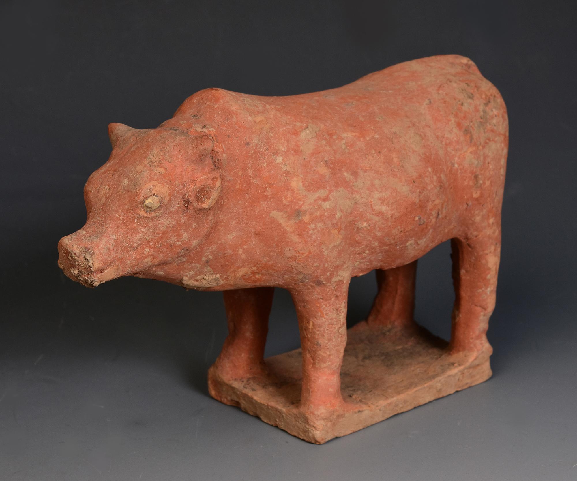 Antique Chinese pottery standing cow.

Age: China, Tang Dynasty, A.D. 618 - 907
Size: Length 16 C.M. / Width 6.7 C.M. / Height 11.3 C.M.
Condition: Well-preserved old burial condition overall with some amount of soil adhering (some abrasions and
