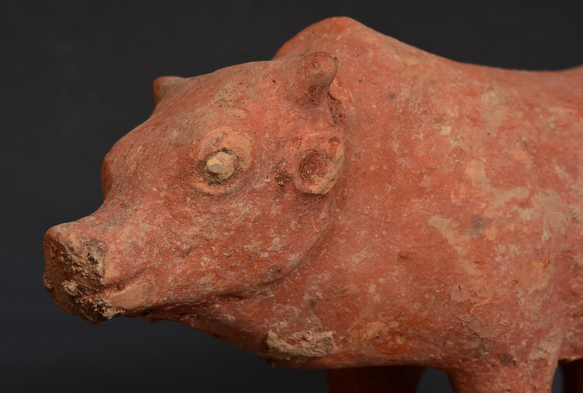 Chinois Tang Dynasty, Antique Chinese Pottery Standing Cow en vente