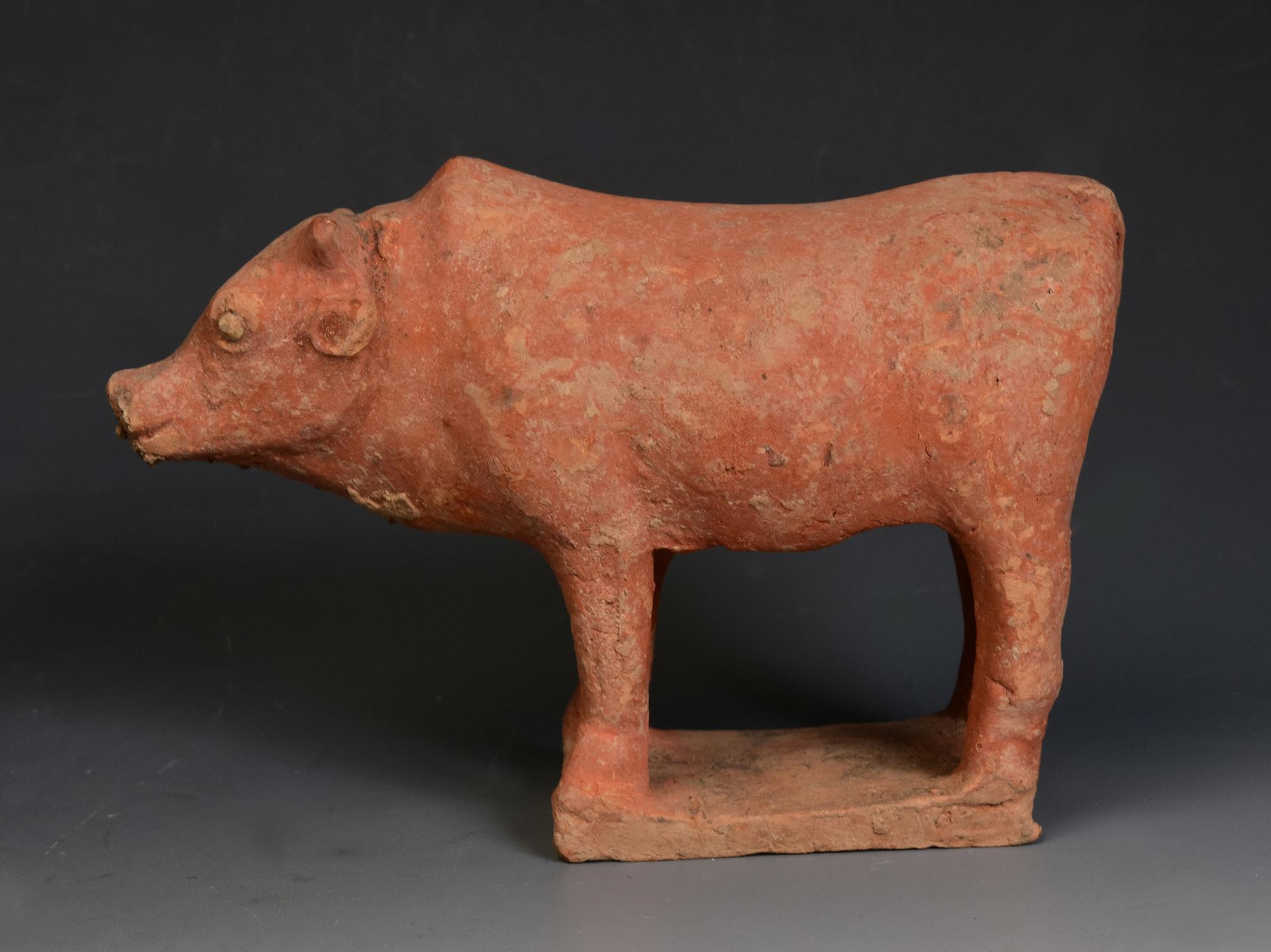 Tang Dynasty, Antique Chinese Pottery Standing Cow In Good Condition For Sale In Sampantawong, TH